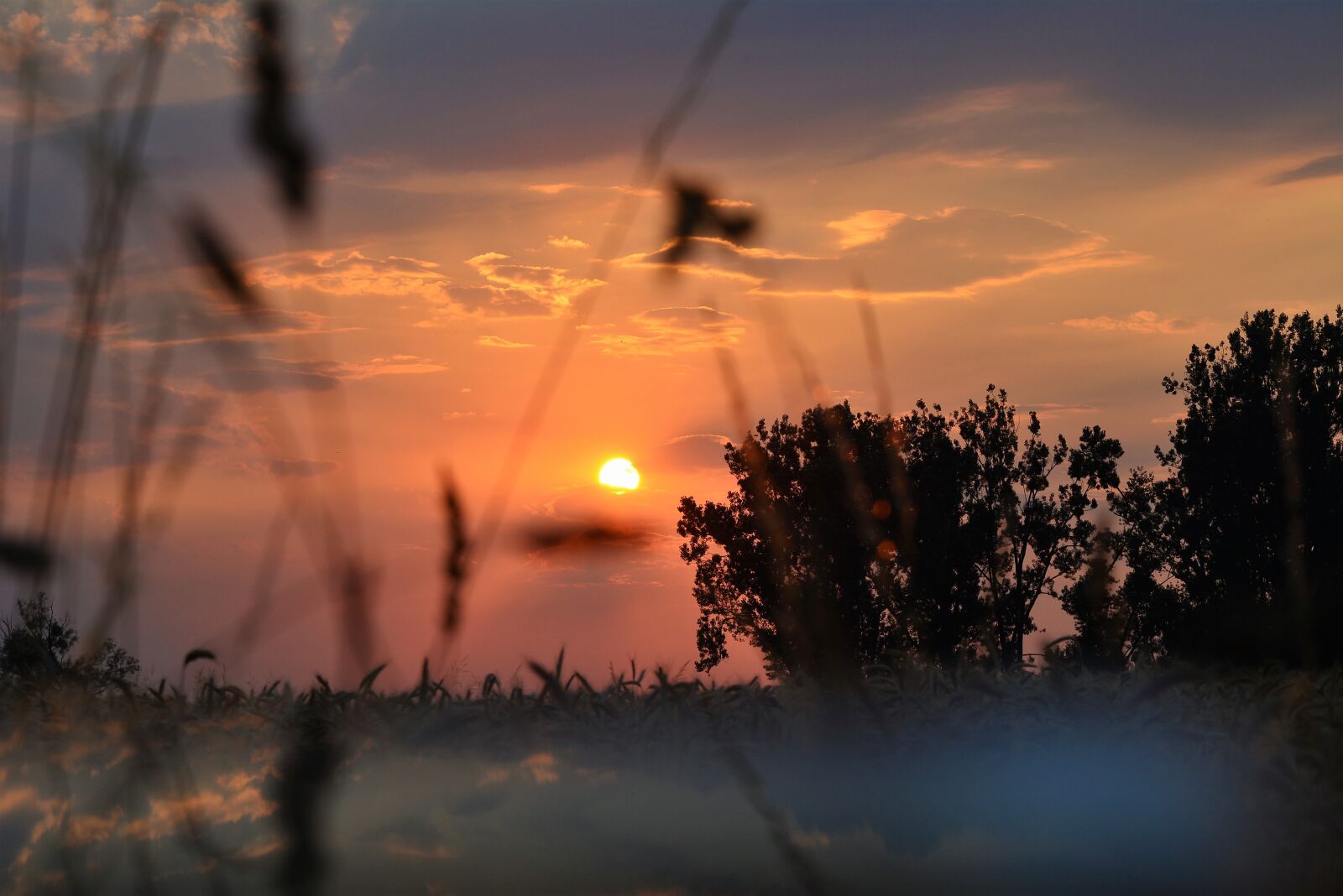 Nikon D5200 sample photo. Sunset, romantic, twilight photography