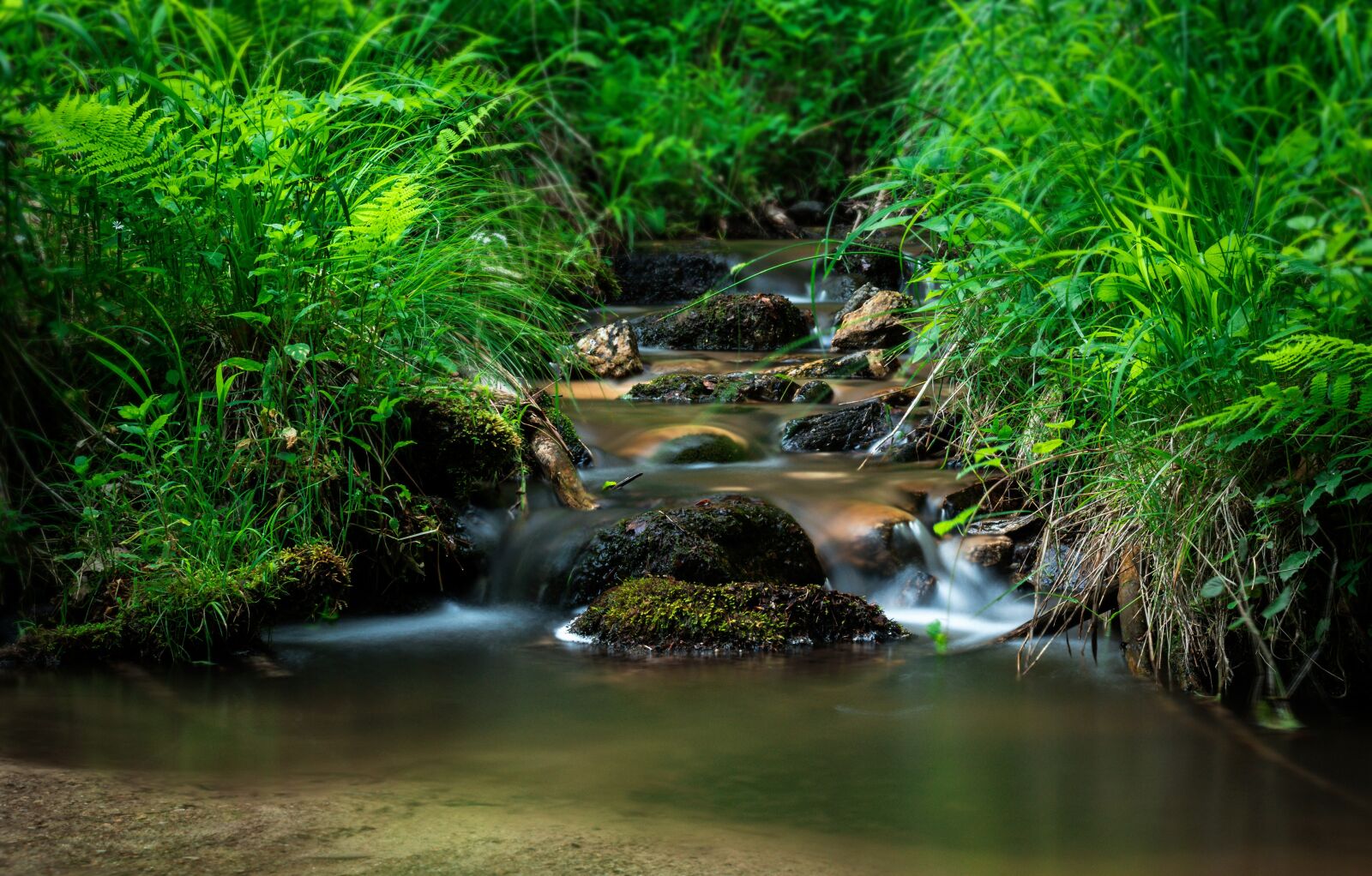 Nikon D5500 sample photo. Creek, torrent, nature photography
