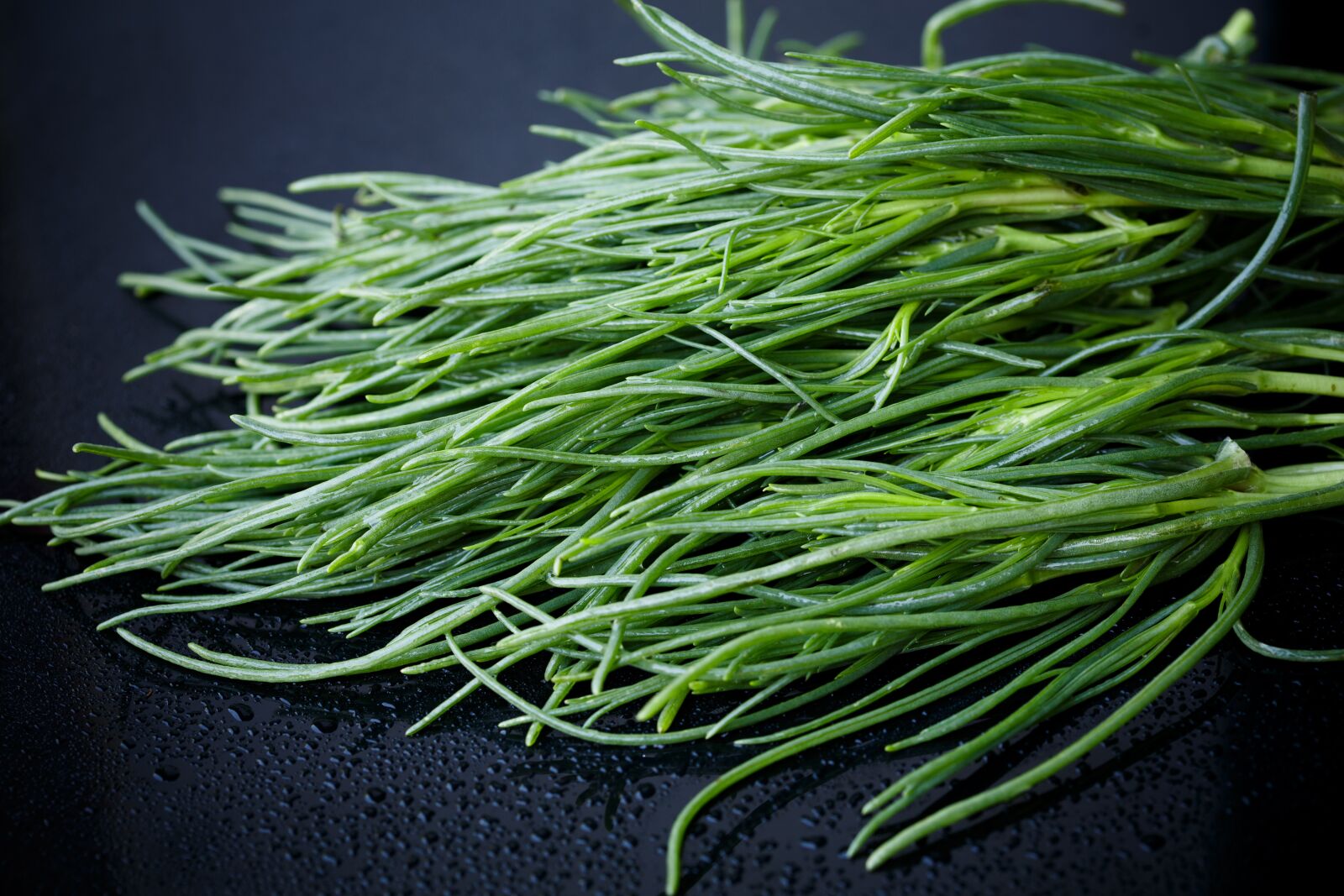 Canon EF 100mm F2.8 Macro USM sample photo. Saltwort, barba di frate photography