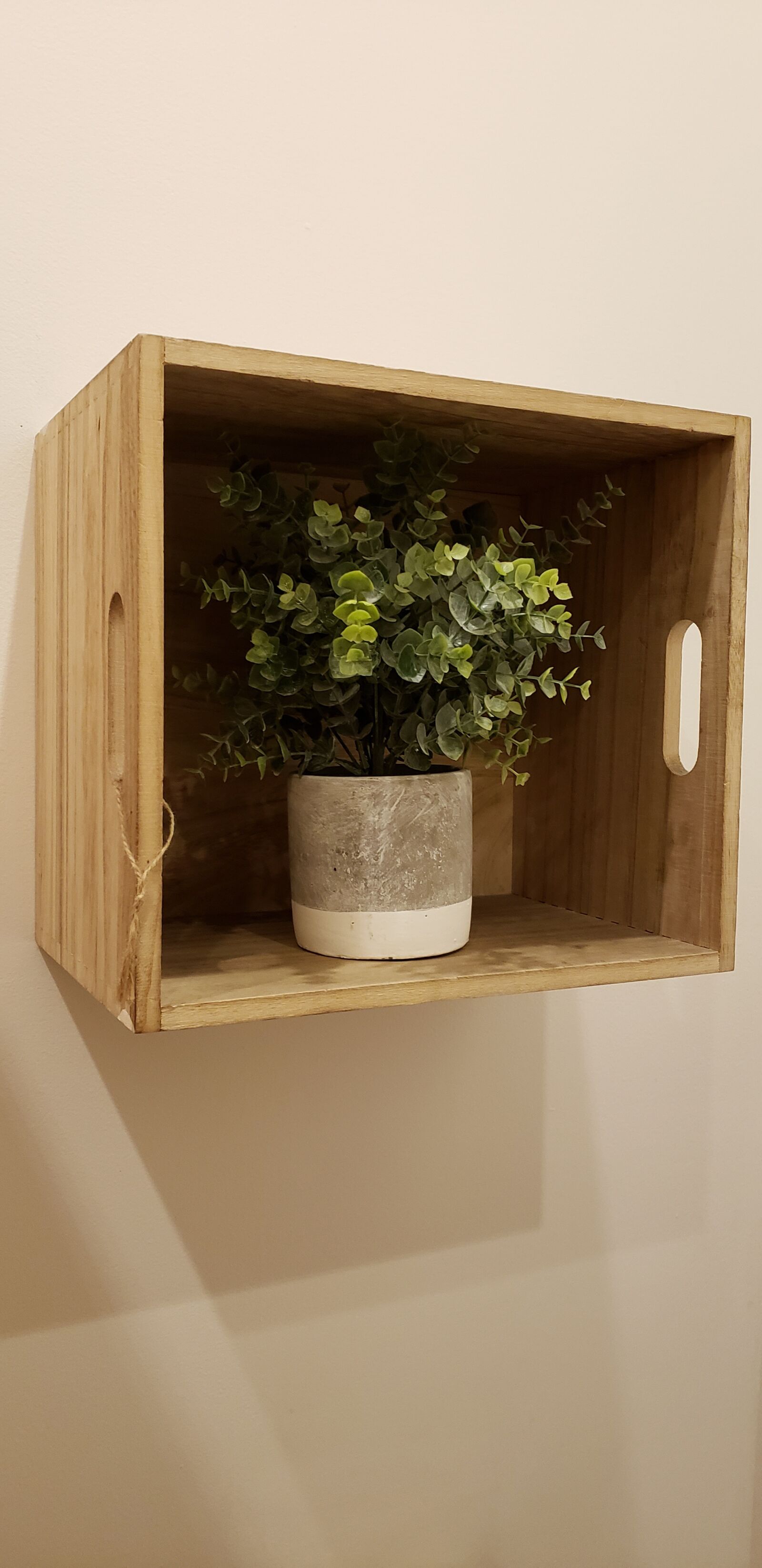 Samsung Galaxy S9+ sample photo. Raca, trim, decoration photography