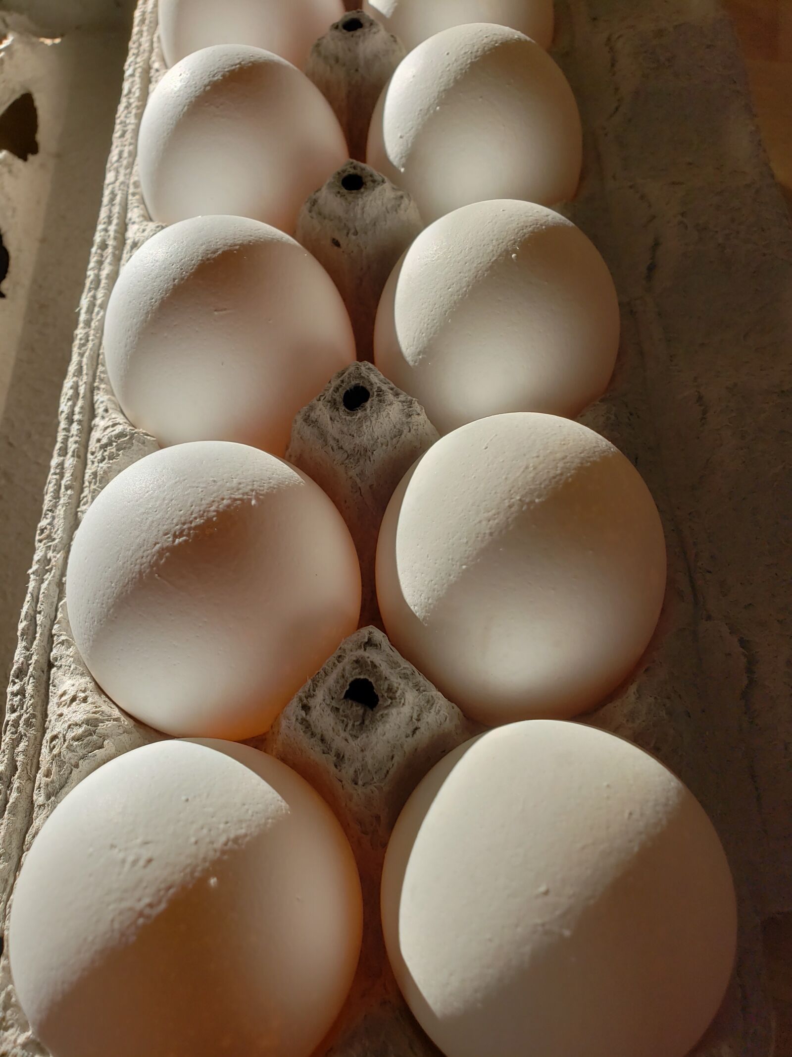 Samsung Galaxy S9+ sample photo. Eggs, dozen, food photography