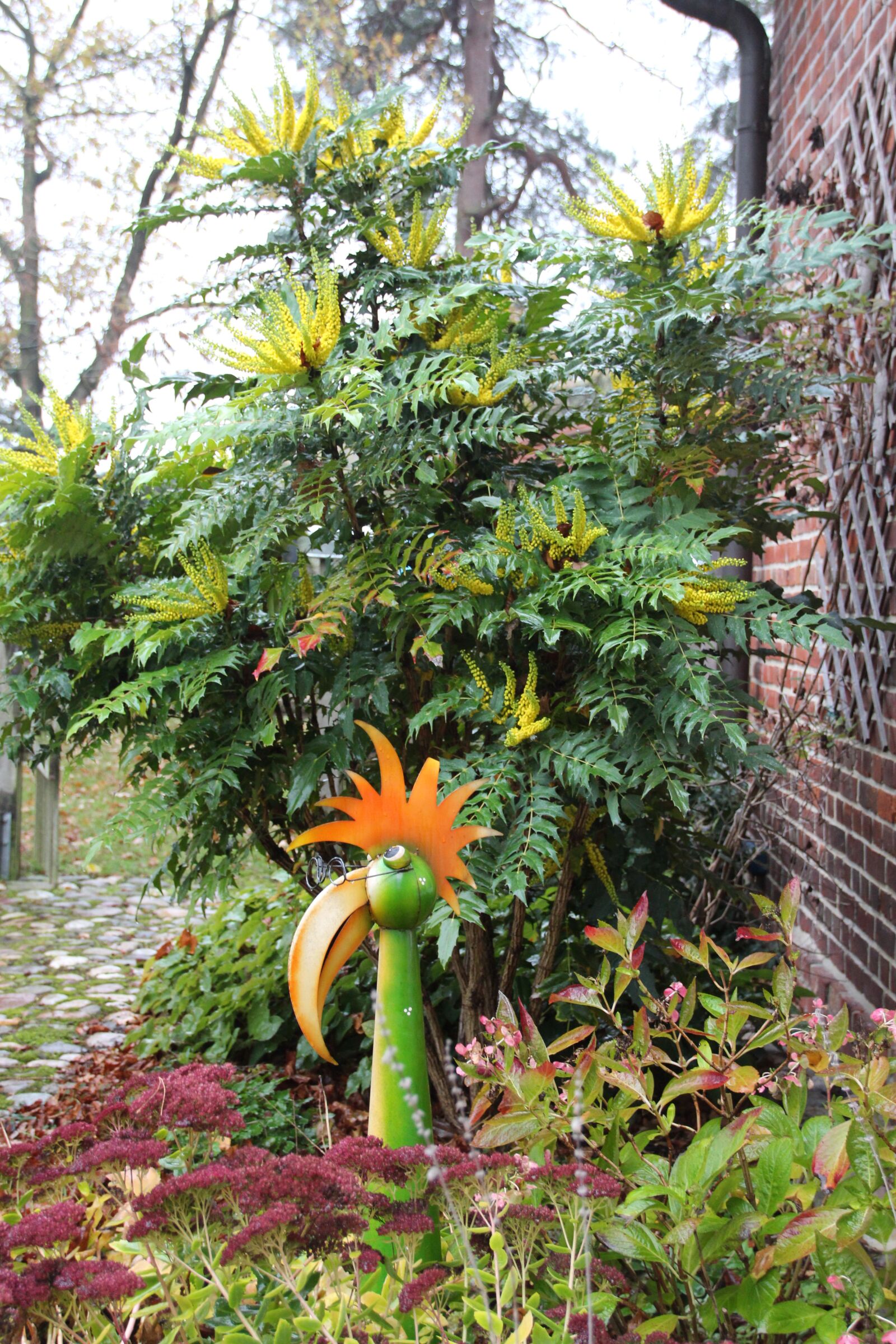 Canon EOS 650D (EOS Rebel T4i / EOS Kiss X6i) sample photo. Autumn, garden, farm photography