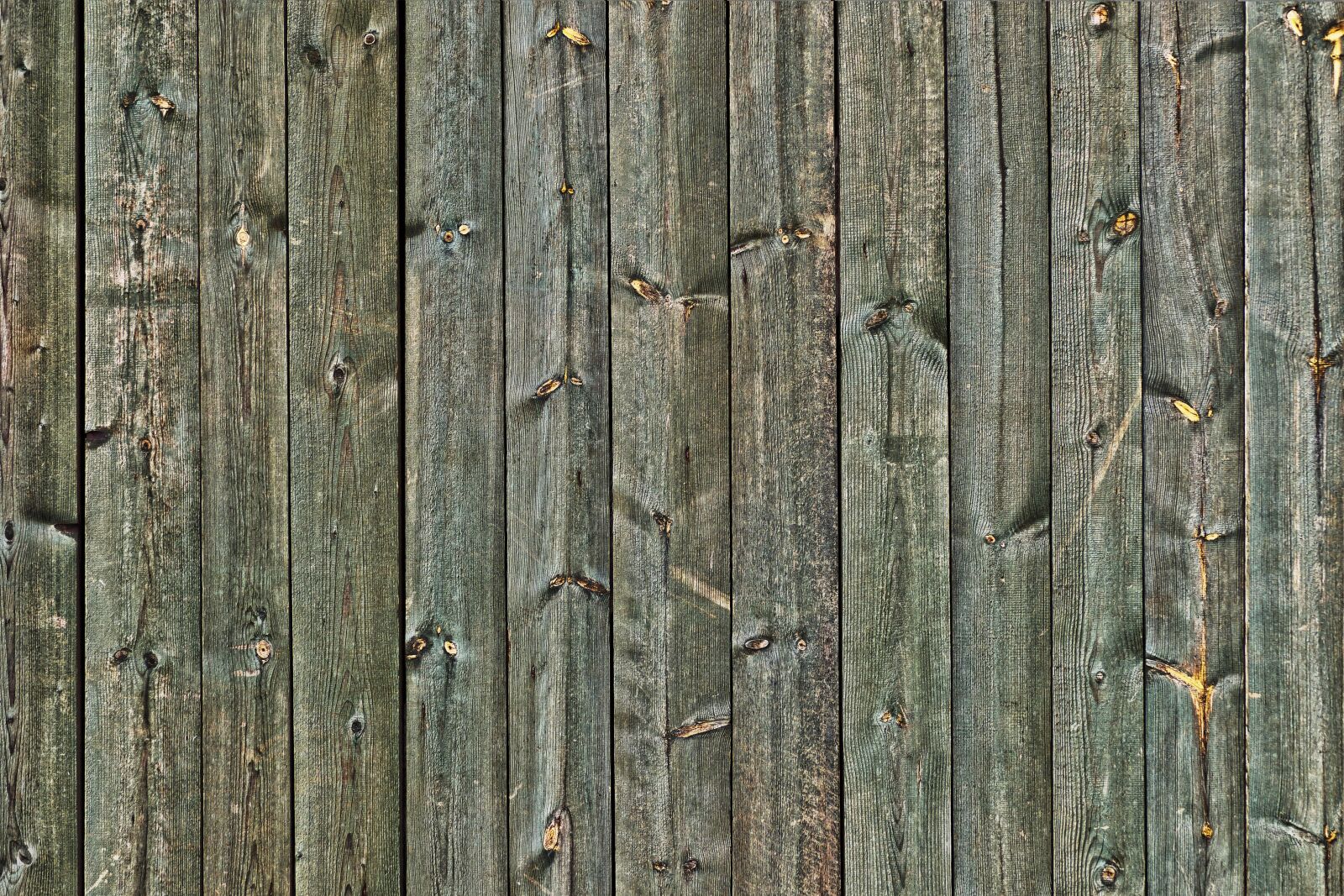 Panasonic Lumix DMC-FZ1000 sample photo. Wood, boards, branches photography