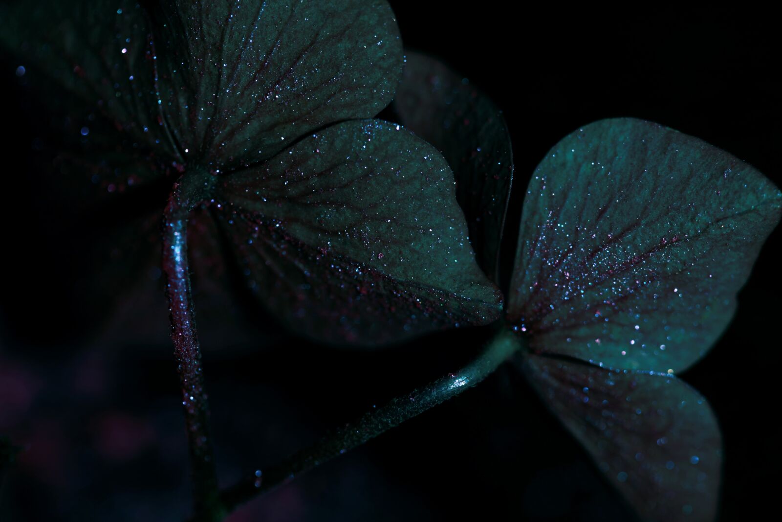 Canon EOS 5D Mark II sample photo. Dark, mood, darkness photography