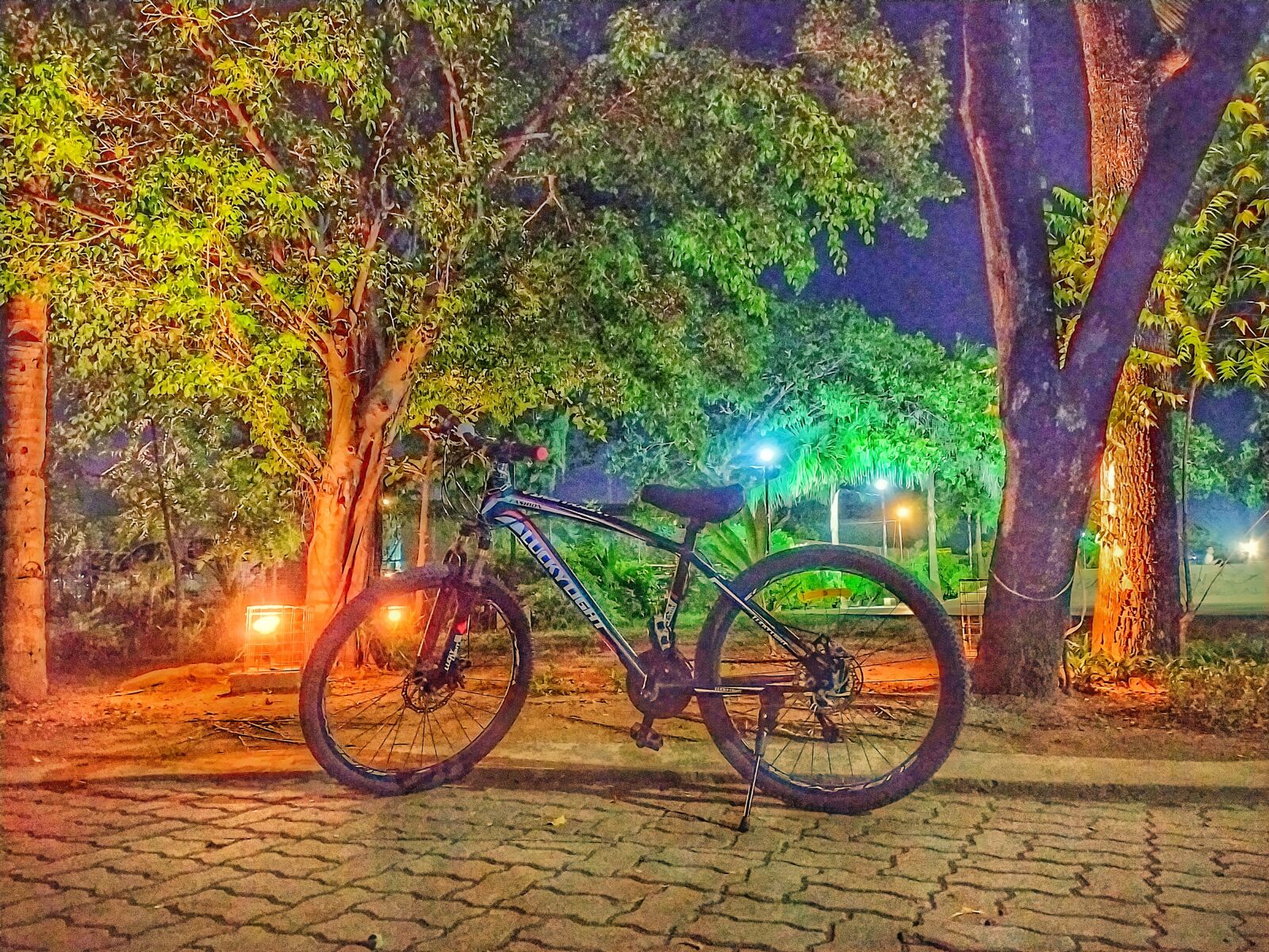 Xiaomi Redmi Note 8 sample photo. Bike, bicycle, park photography