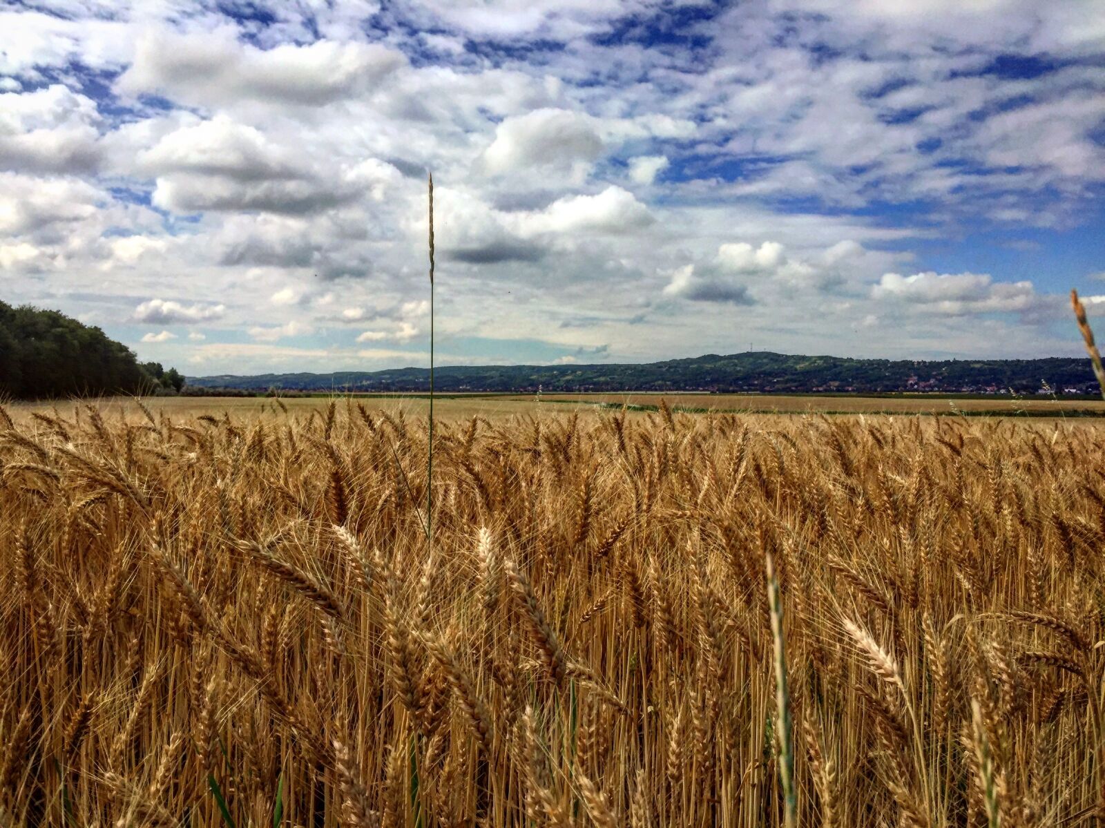 Apple iPhone 6 sample photo. Blue, sky, cloud, nature photography