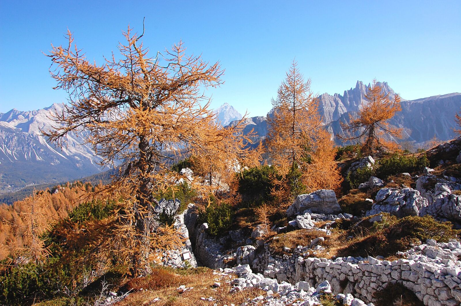 Nikon D40 sample photo. Indian summer, dolomites, alm photography