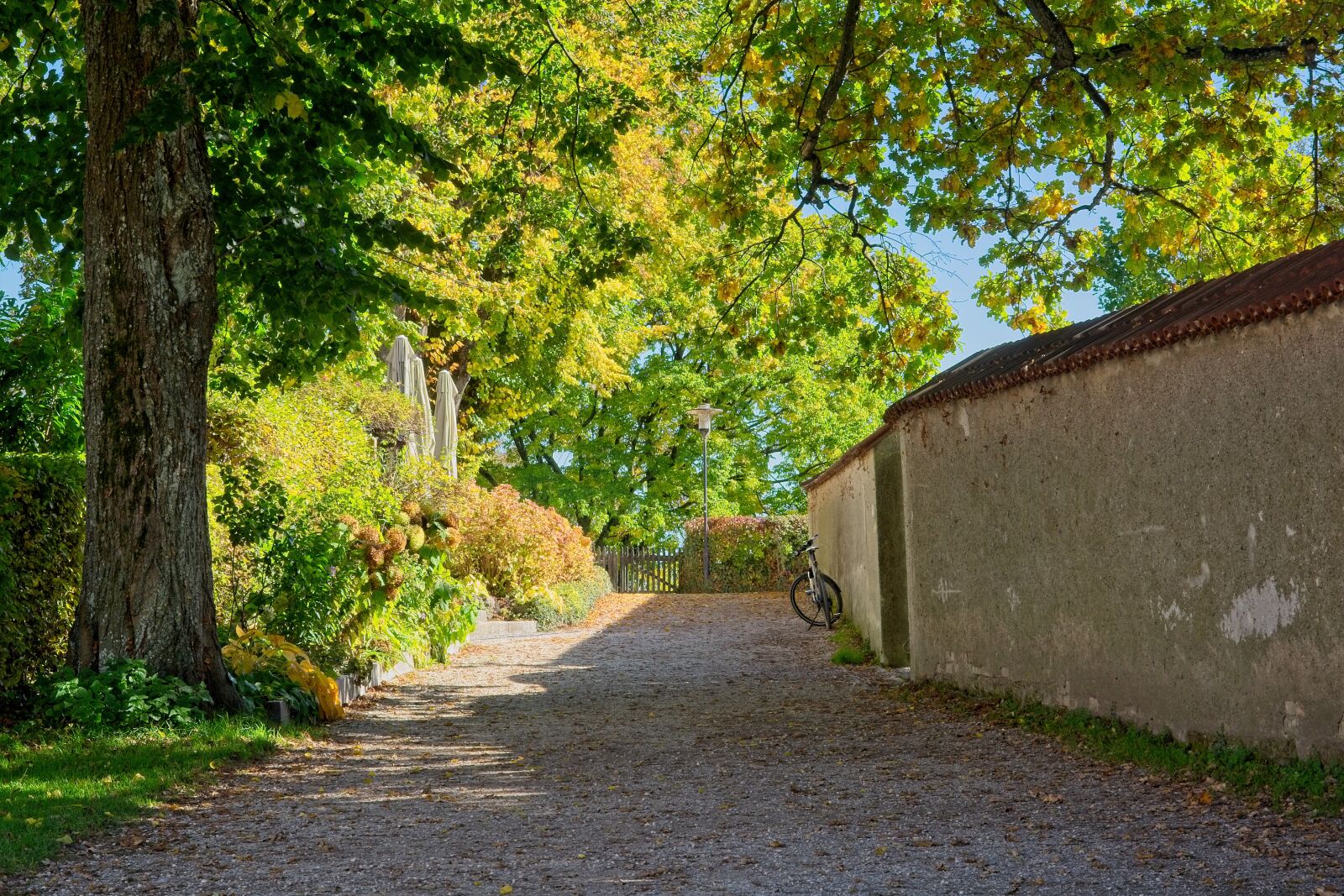 Nikon D7100 sample photo. Autumn, promenade, away photography