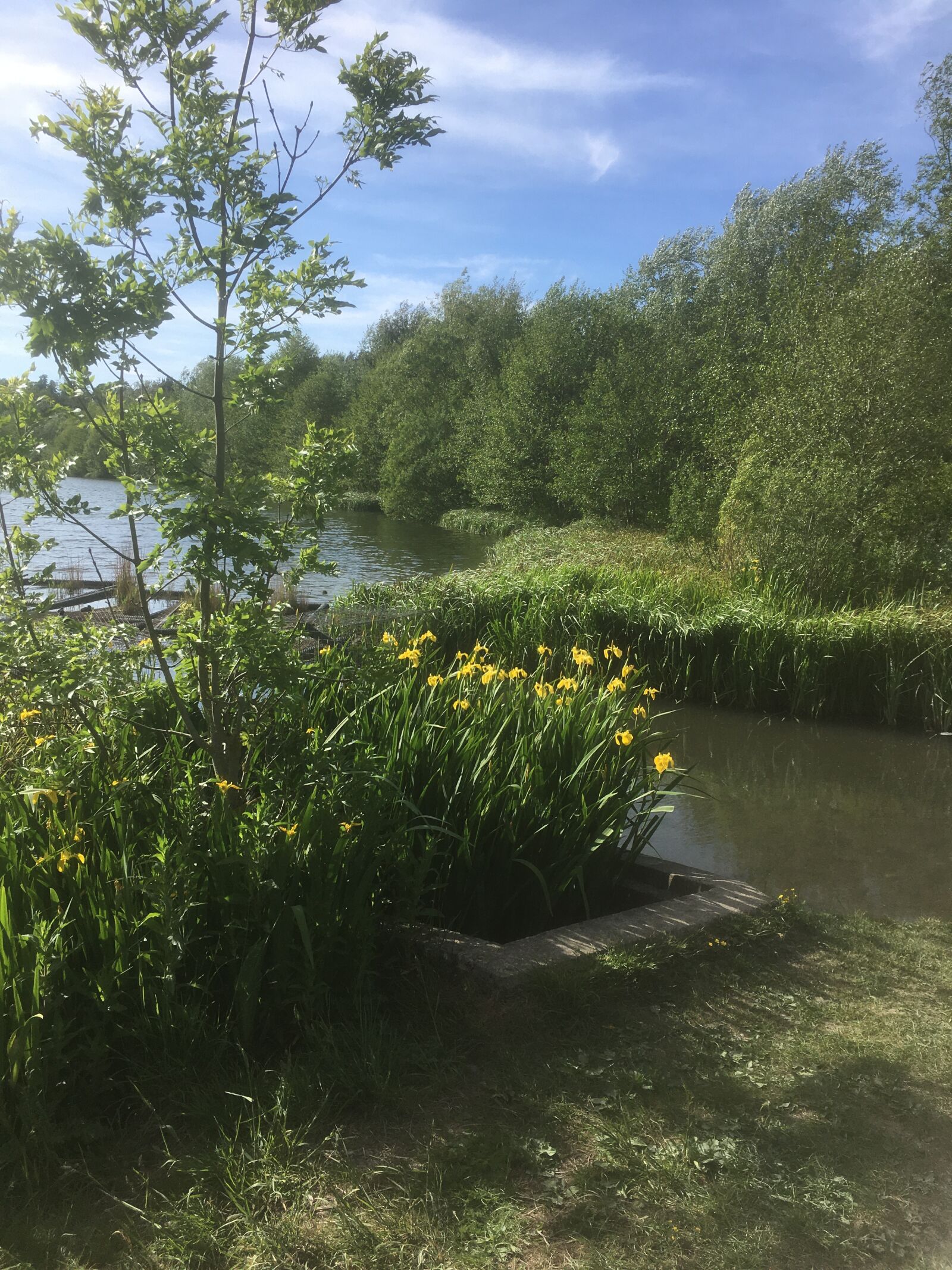 iPhone SE back camera 4.15mm f/2.2 sample photo. Derbyshire, holmebrook, lake photography
