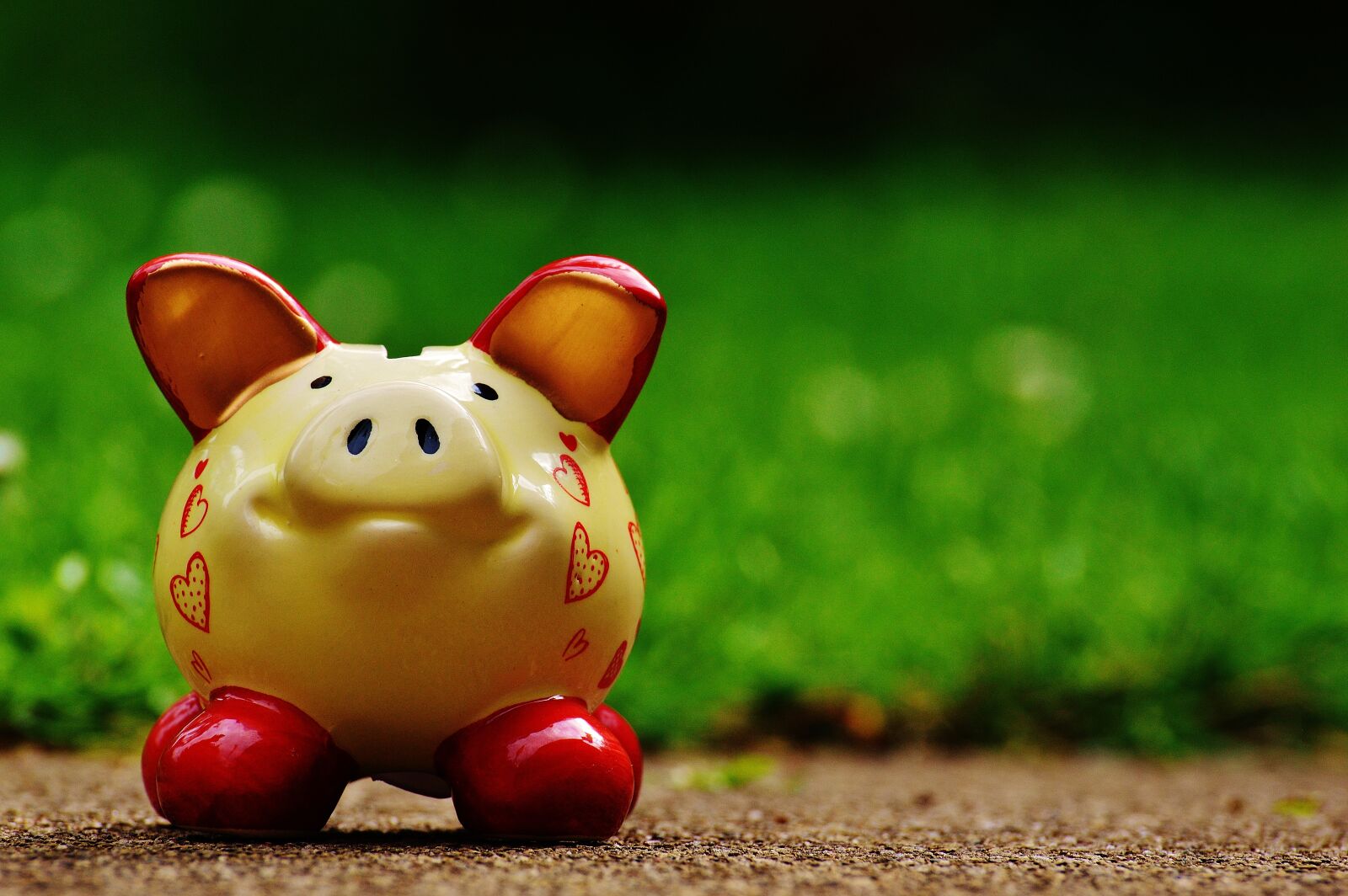 Nikon D3200 sample photo. Piggy bank, heart, funny photography