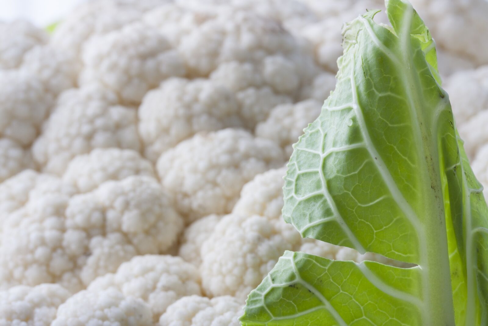 Canon EOS 40D sample photo. White, cauliflower, vegetable photography