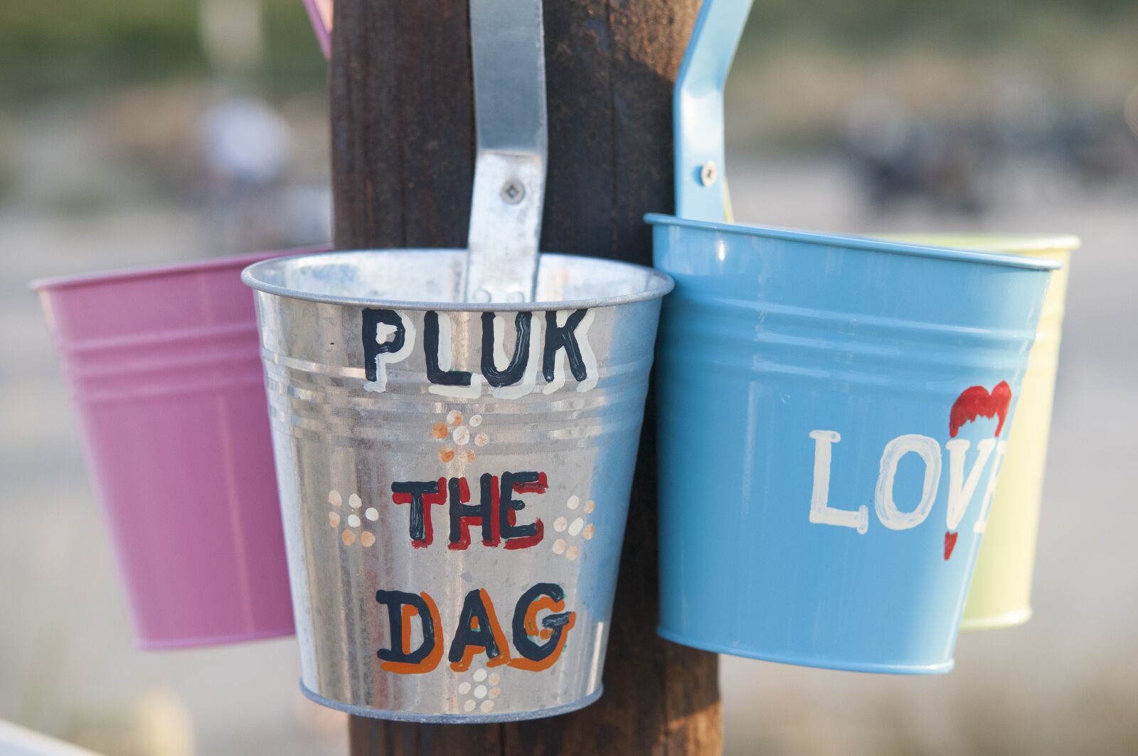 Nikon D300 sample photo. Bucket, quote, carpe diem photography