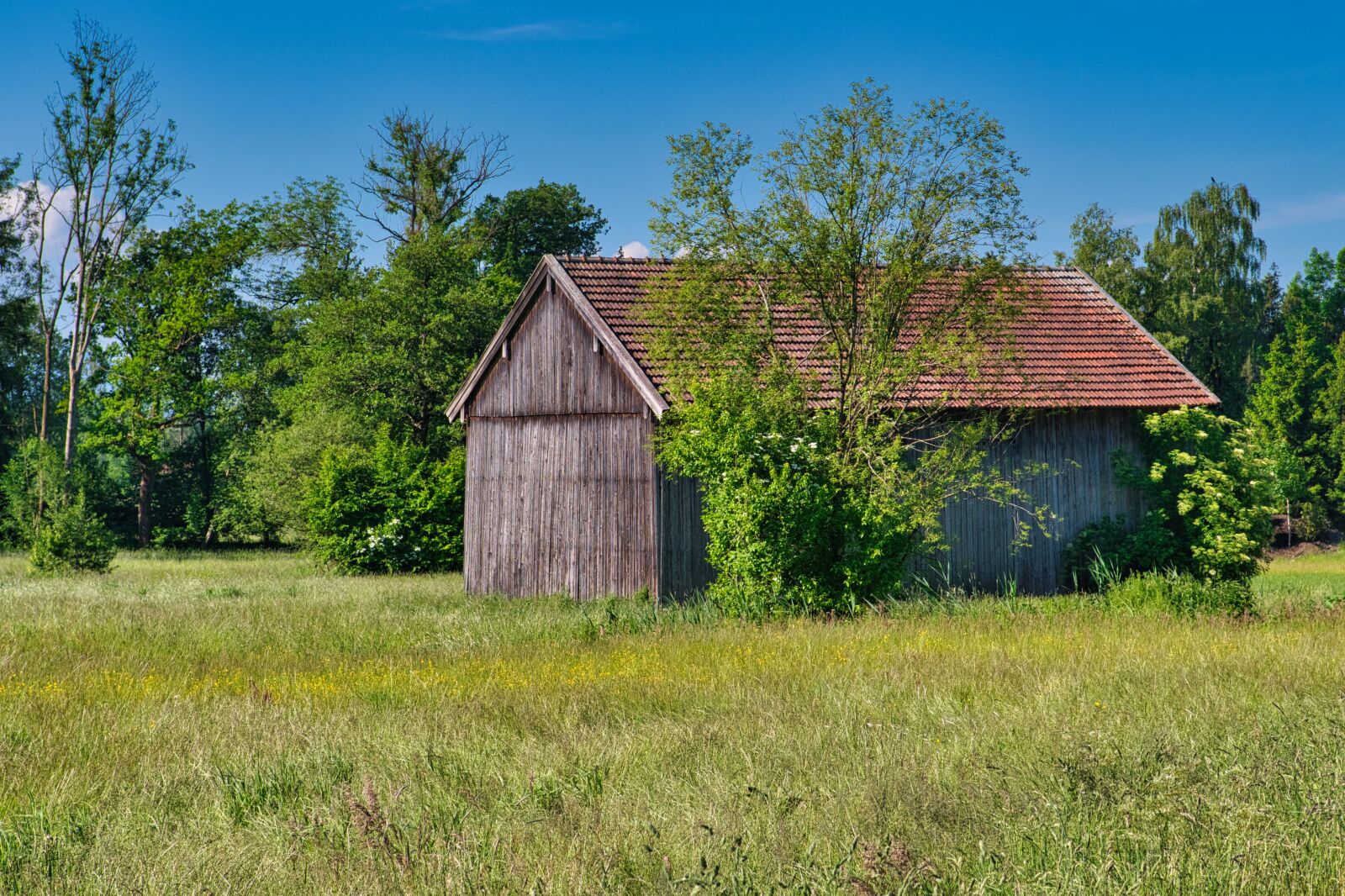 Nikon D7500 sample photo. Field barn, barn, scale photography