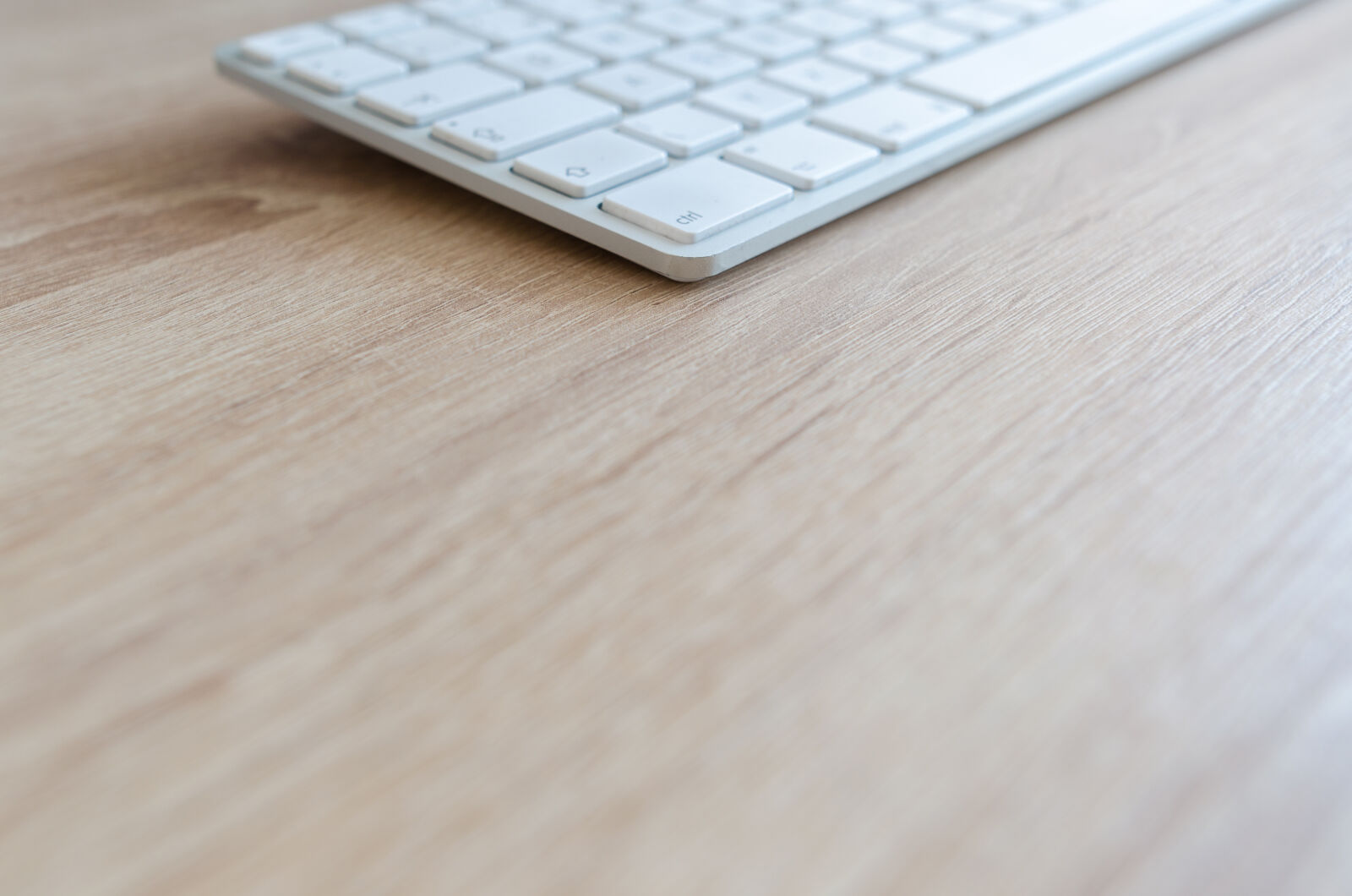 Nikon D5100 sample photo. Above, background, blank, business photography