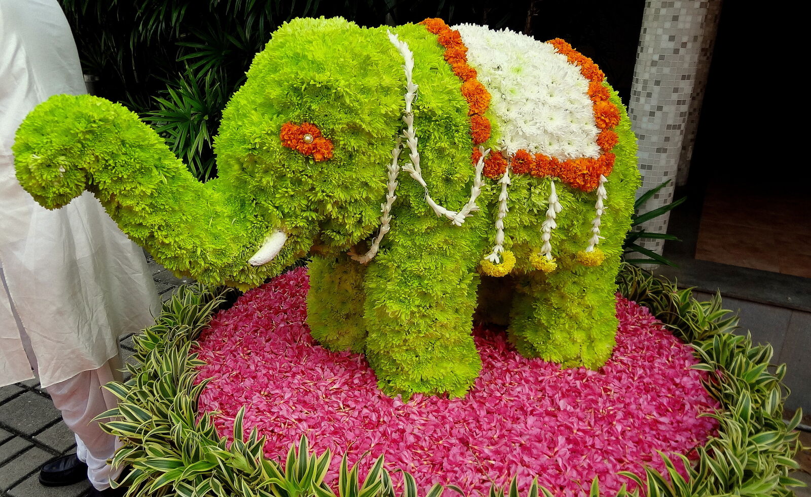 Sony Cyber-shot DSC-HX9V sample photo. The, decoration, elephant photography