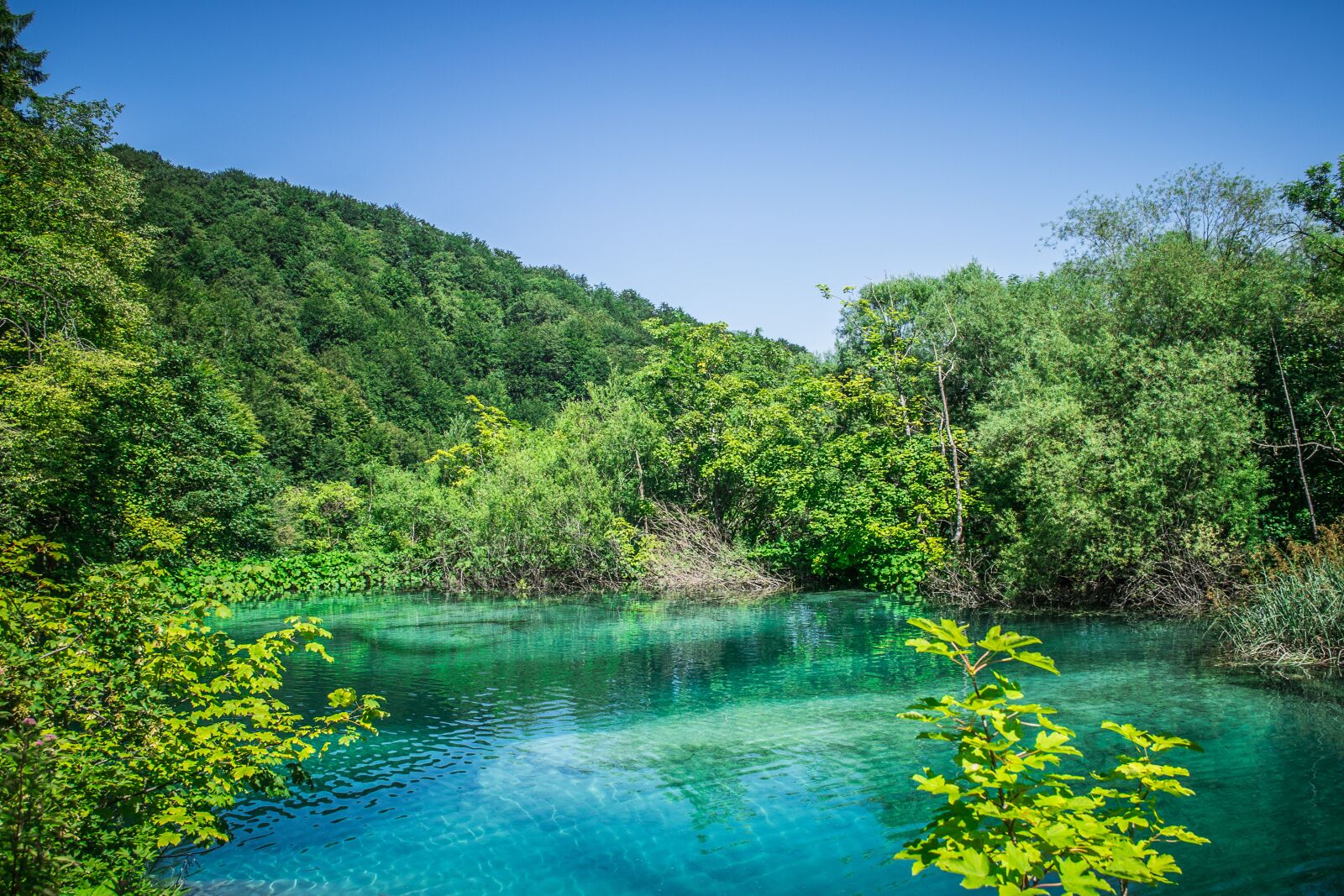 Nikon D3100 sample photo. Falls, nature, water photography