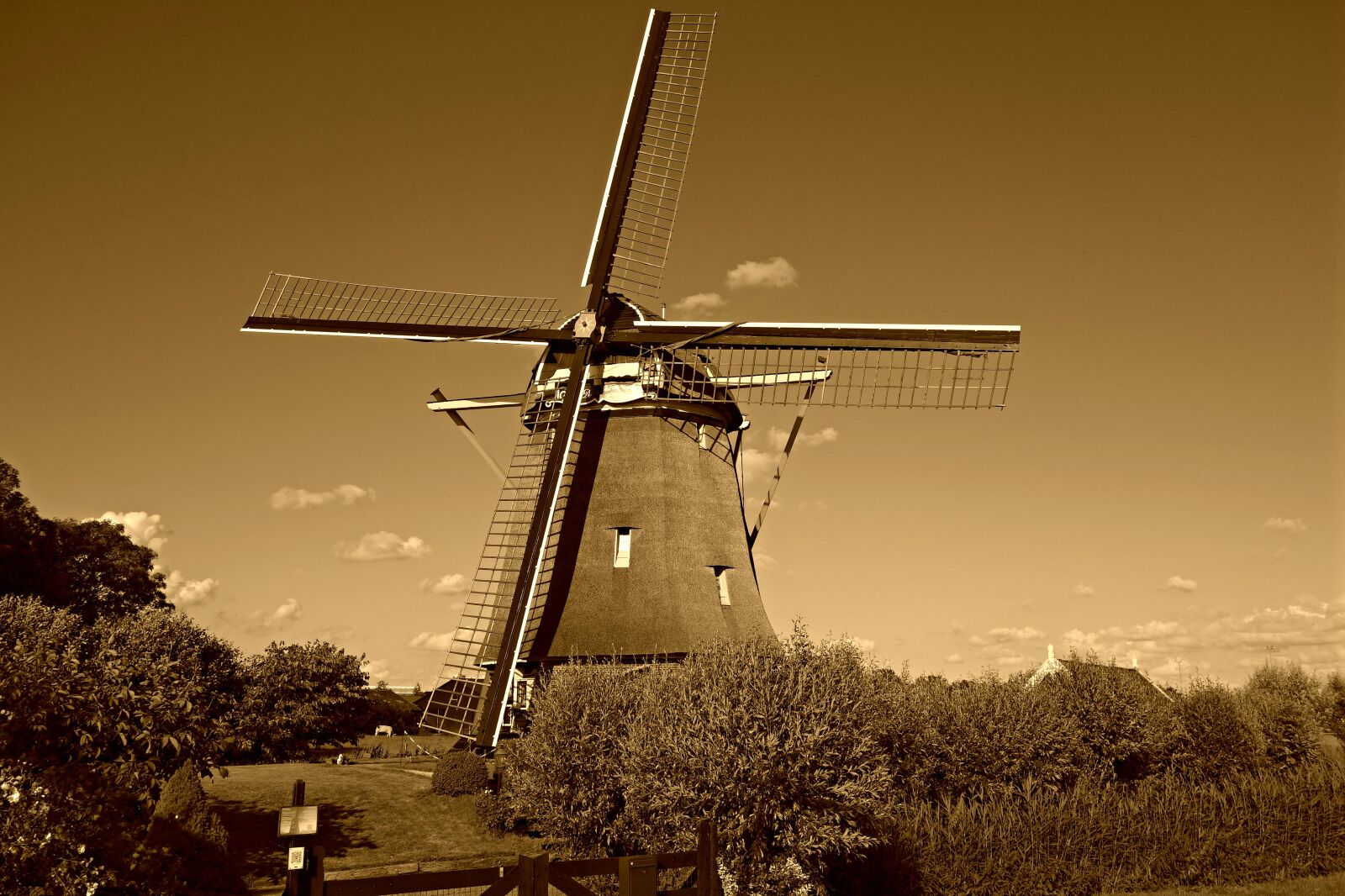 Sony Cyber-shot DSC-RX100 sample photo. De, zwaan, dutch, historic photography