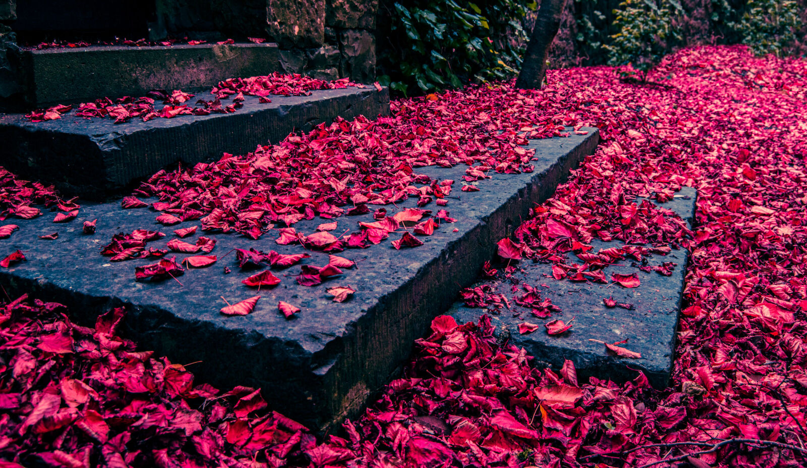 Nikon D3200 sample photo. Autumn, color, colour, colourful photography