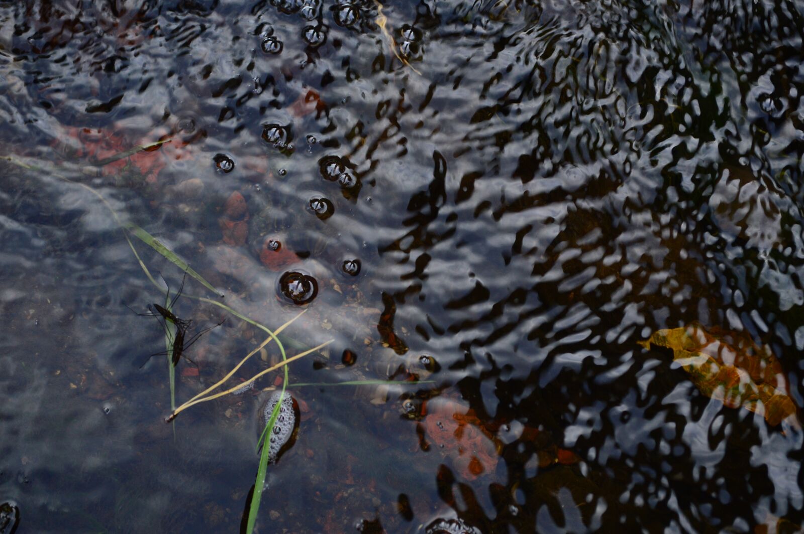 Nikon D3200 sample photo. River, water, waterflow photography