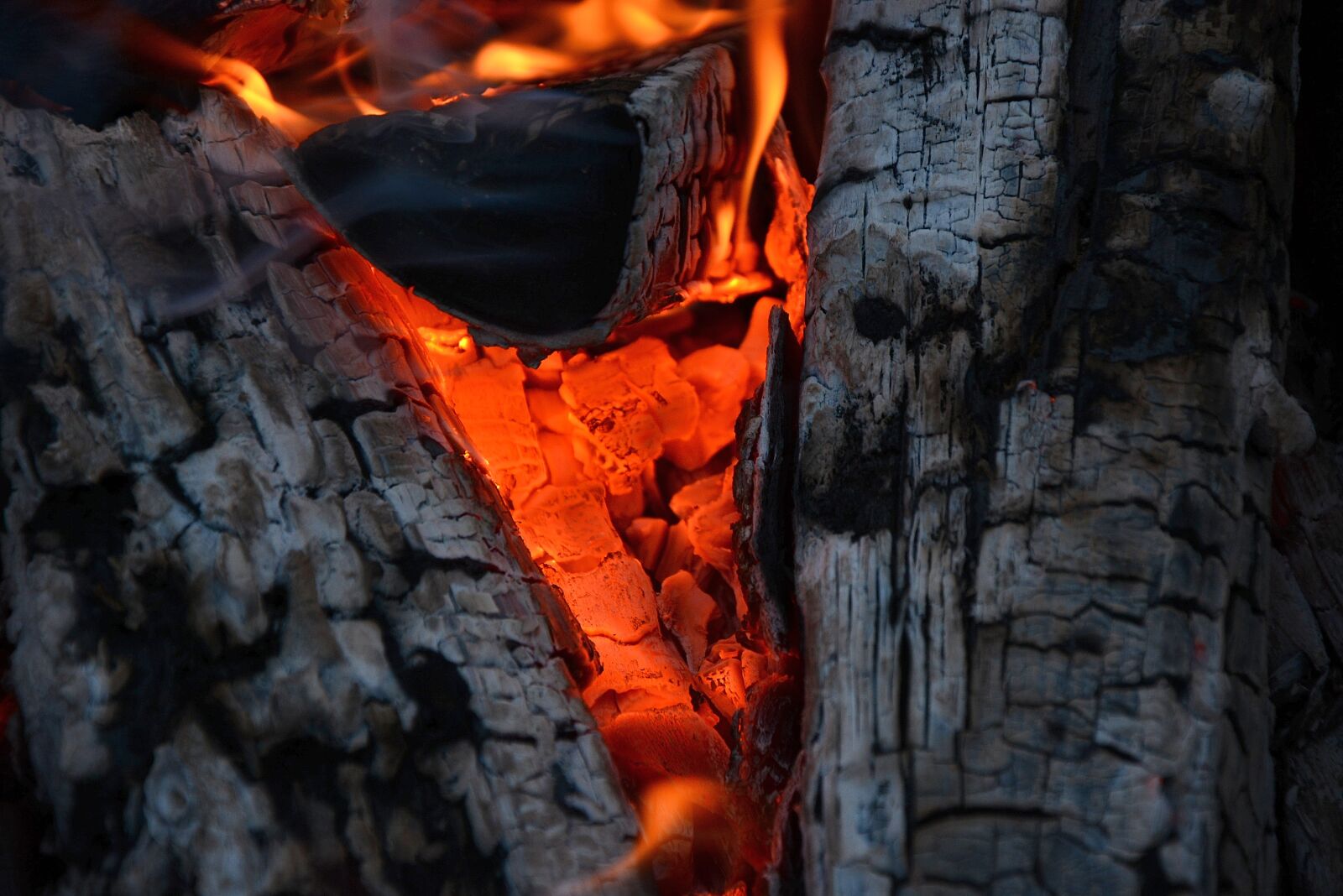 Nikon D5200 sample photo. Fire, flame, heat photography