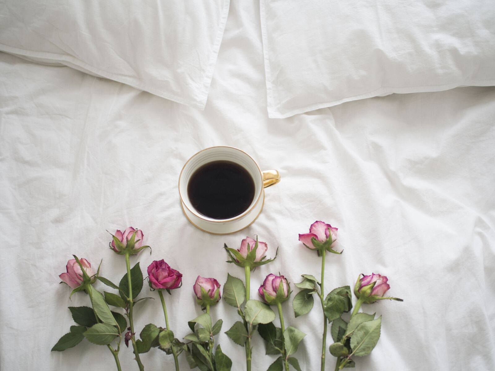 Olympus PEN E-PL6 sample photo. Coffee, roses, bed photography