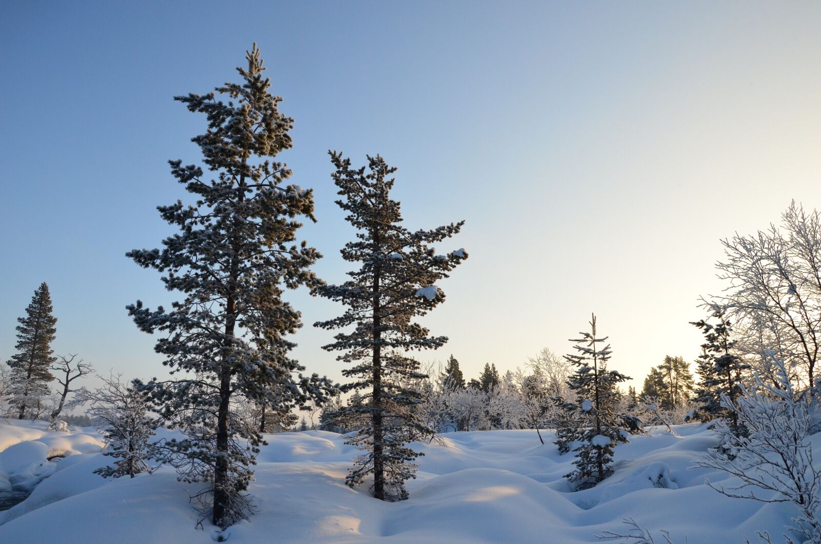 Nikon D5100 sample photo. Snow, winter, cold photography