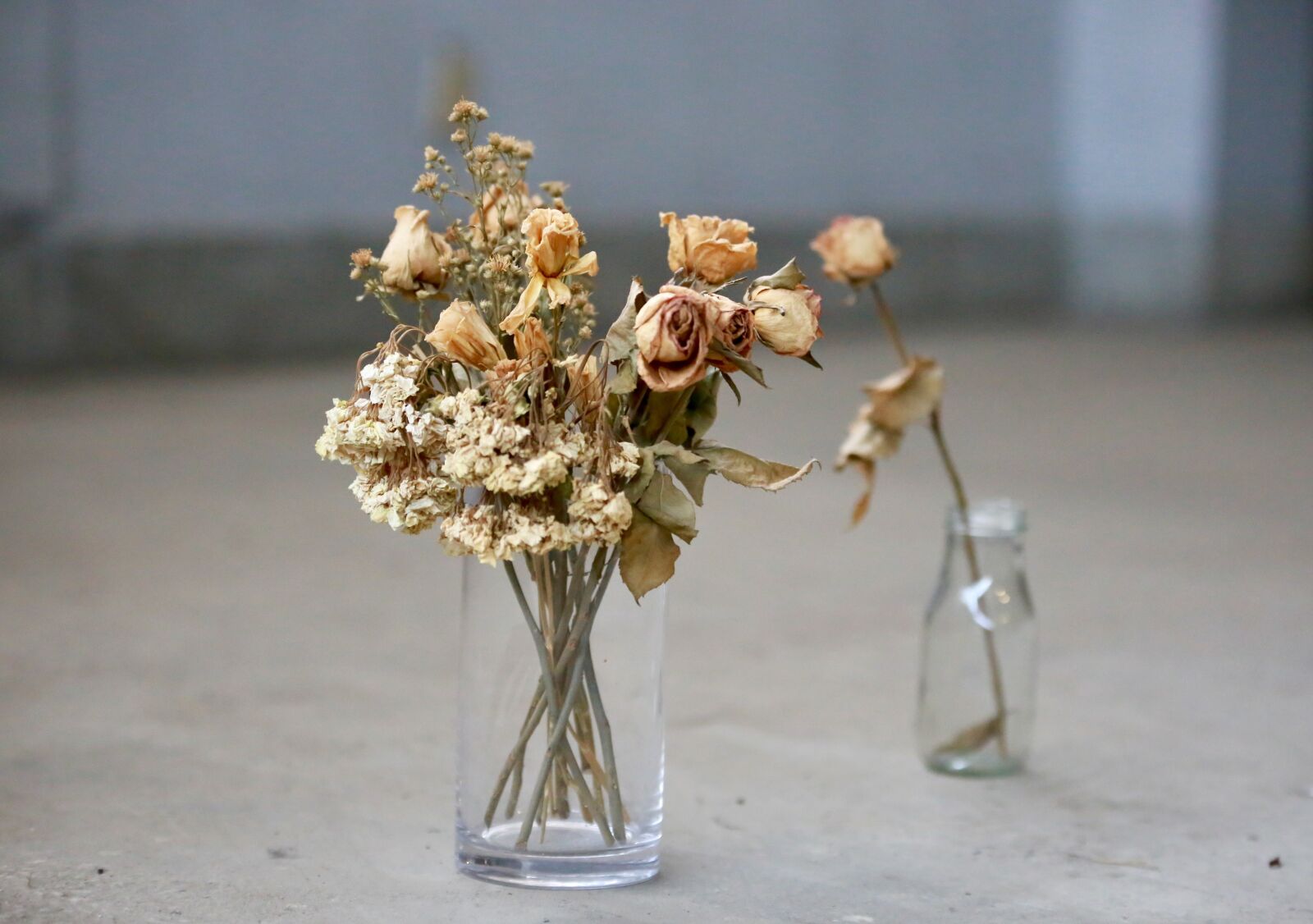 Canon EOS 6D sample photo. Vase, dry flower, glass photography