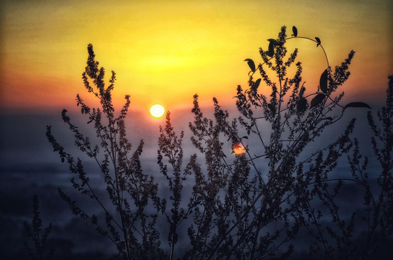 Nikon D5100 sample photo. Sunset, evening, tree photography