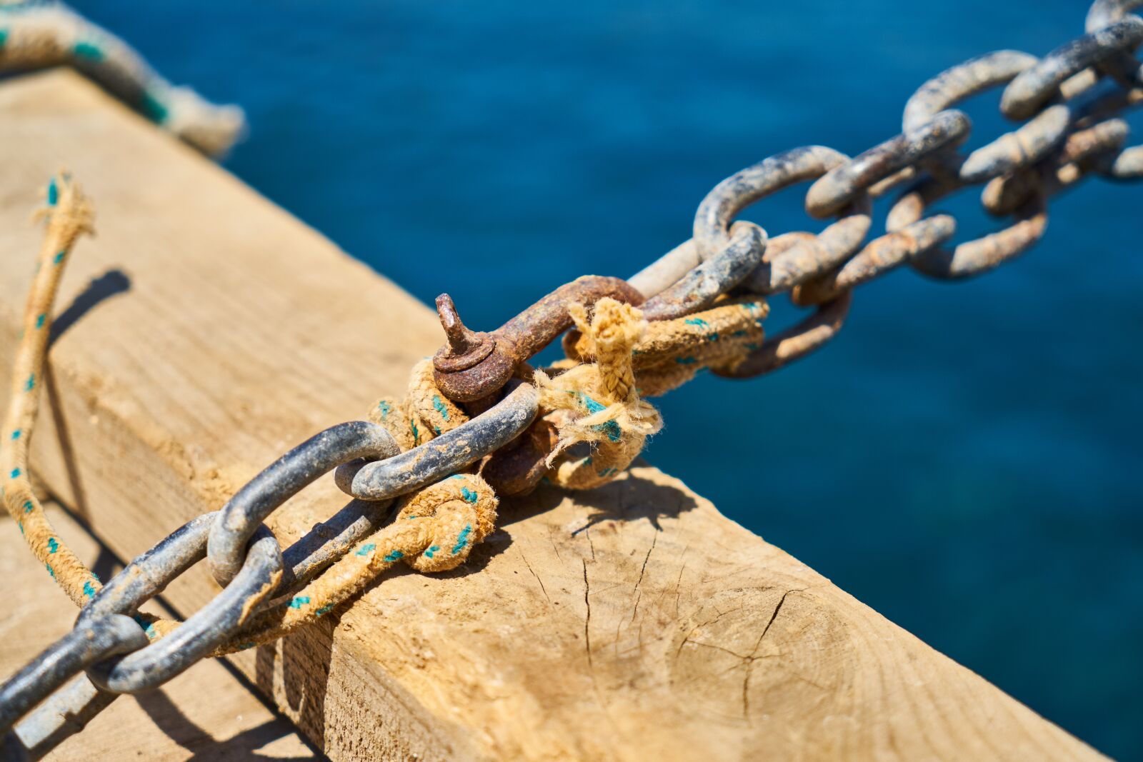 Sony a7R II sample photo. Chain, connect, detail photography