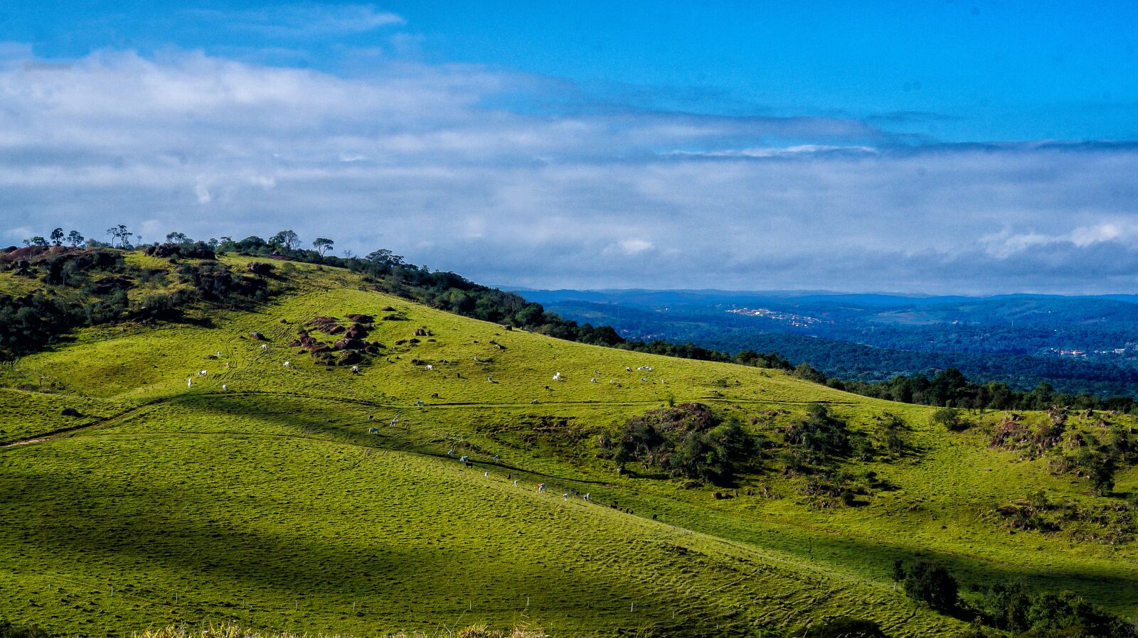 Sony Alpha a3000 + Sony E 18-55mm F3.5-5.6 OSS sample photo. Nature, blue, green photography