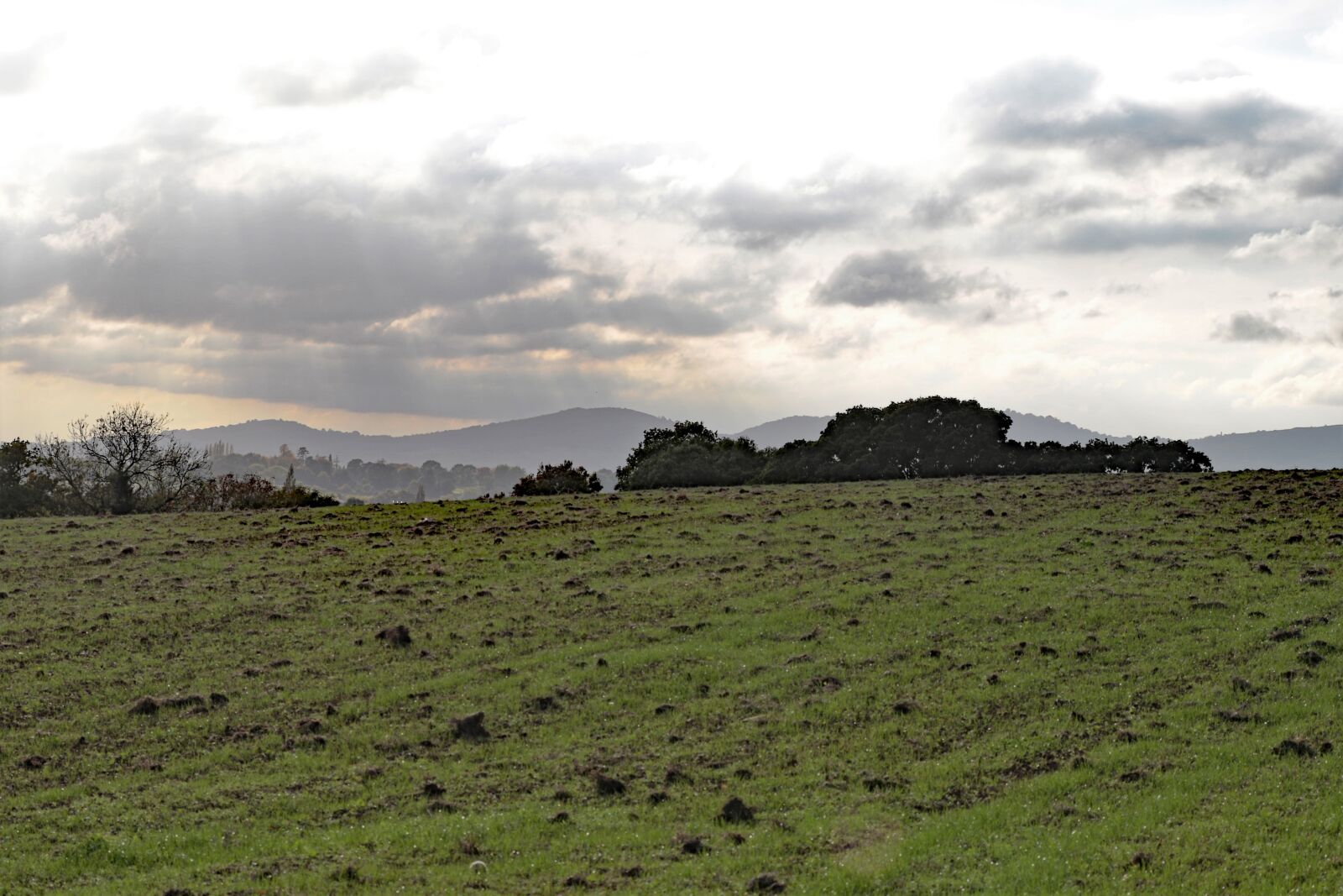 Canon EOS 7D Mark II + Canon EF 70-300mm F4-5.6L IS USM sample photo. Malvern hills, landscape, malvern photography