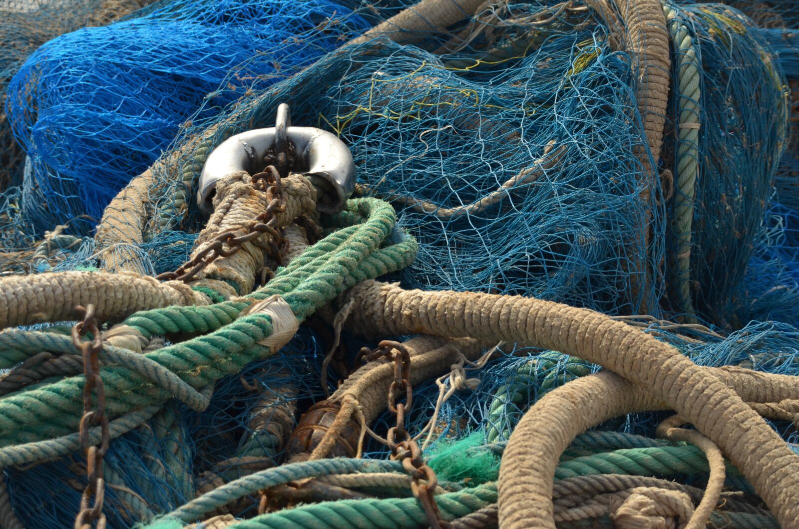 Nikon D7000 sample photo. Fish, just, fishnet photography