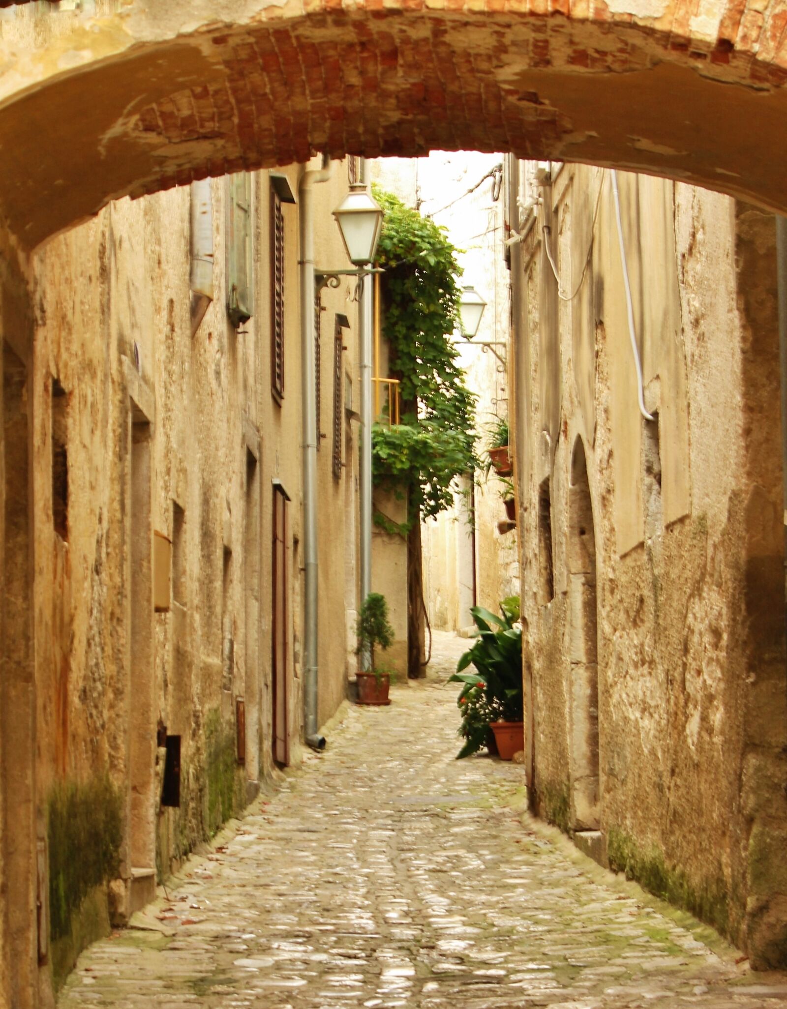 Canon EOS 550D (EOS Rebel T2i / EOS Kiss X4) sample photo. Passage, alley, historic center photography