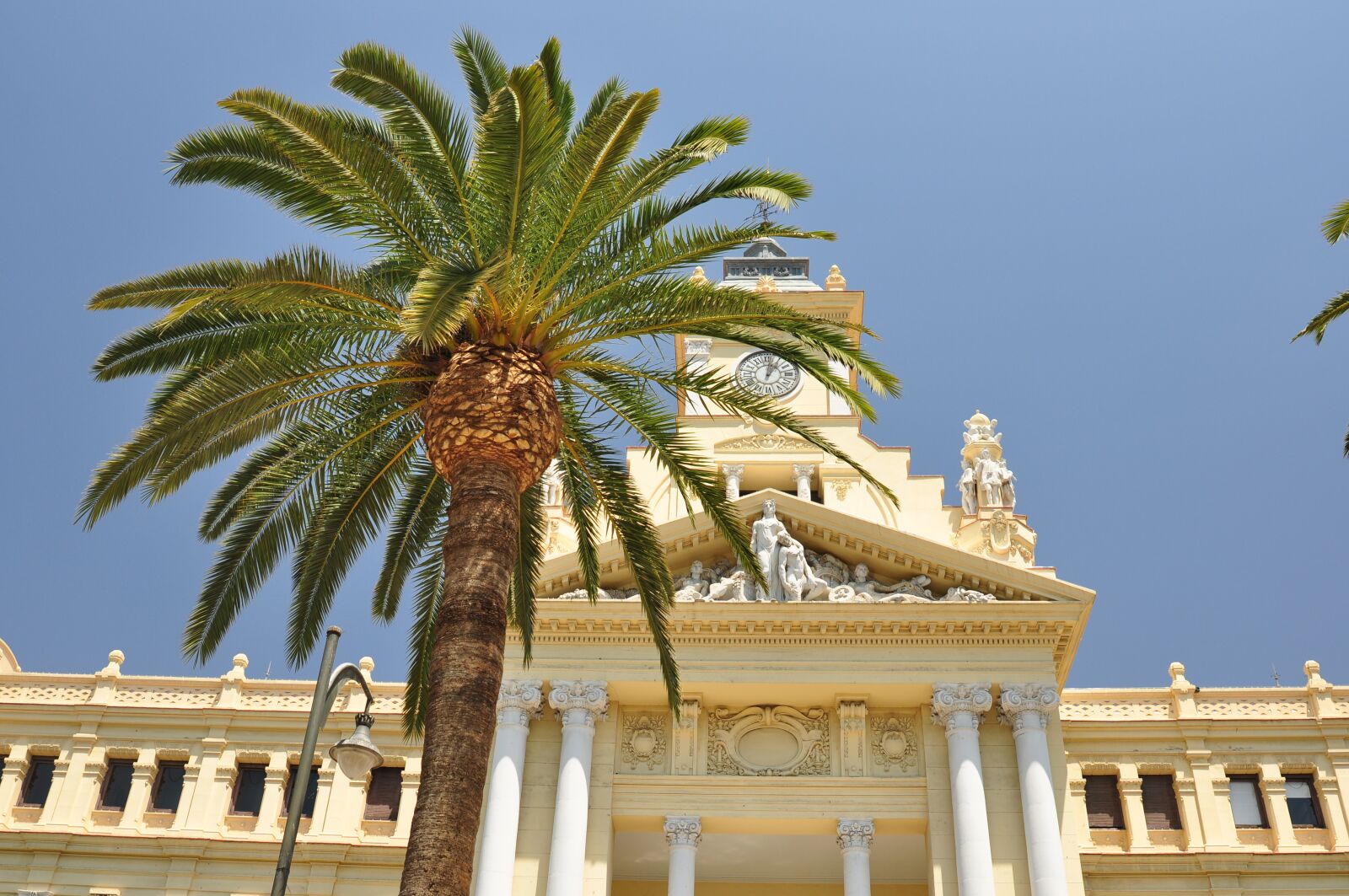 Nikon D90 sample photo. Palm, malaga, architecture photography