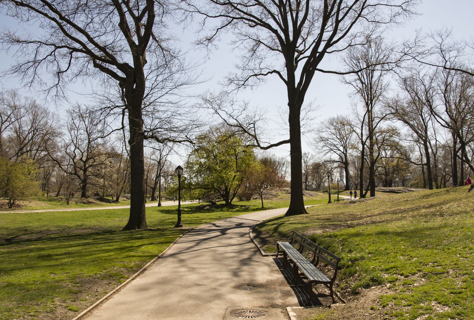 Nikon D7200 sample photo. Central park, new york photography