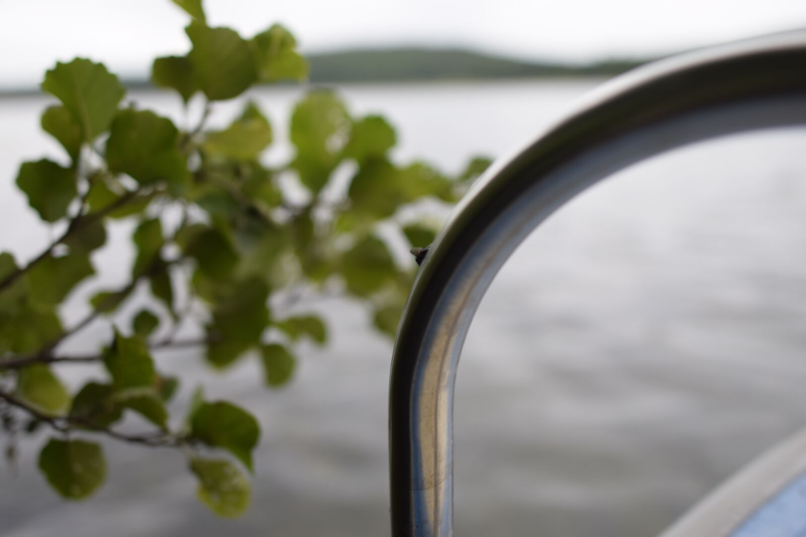 Nikon D5300 sample photo. Lake, foliage, water photography