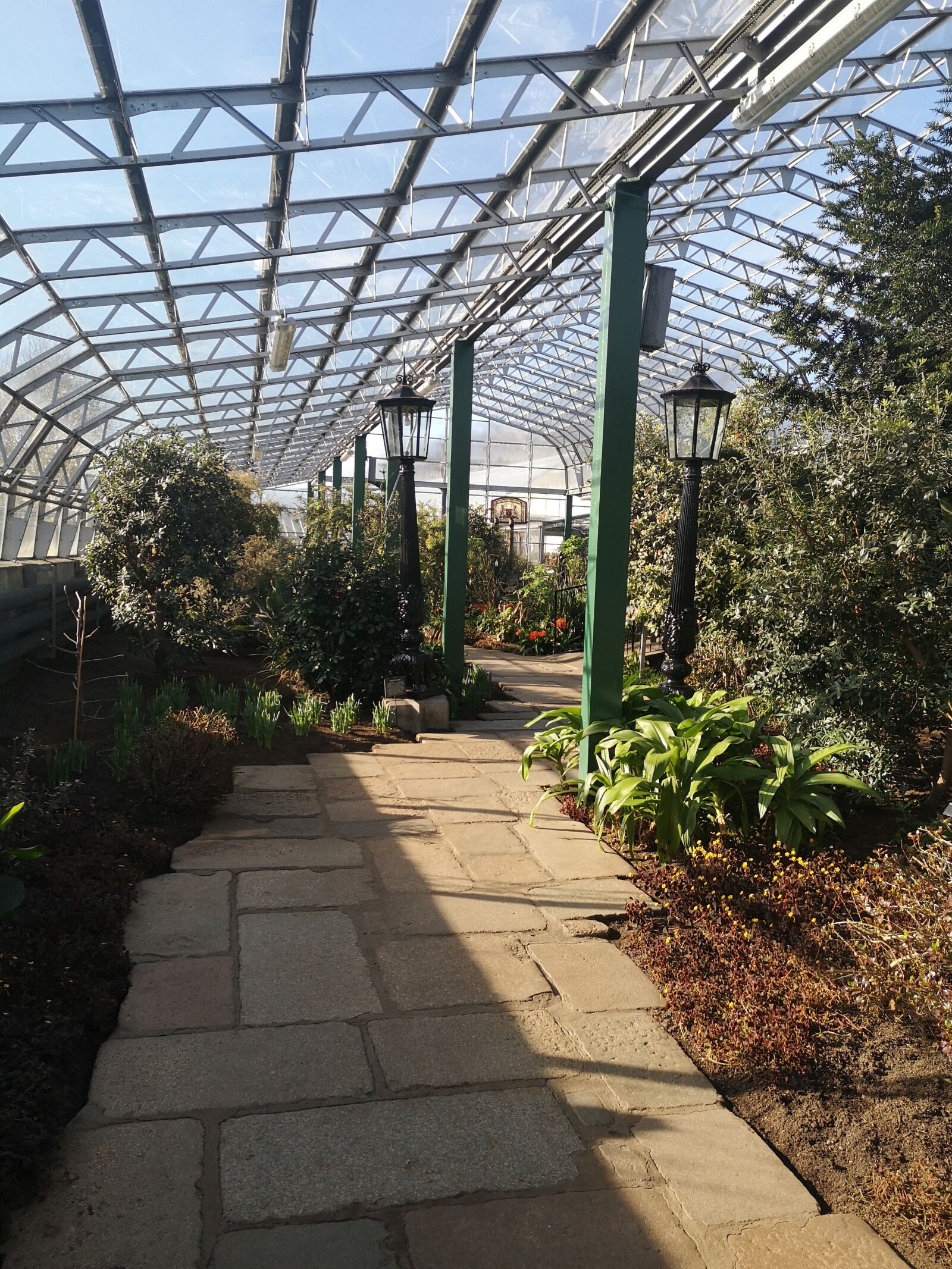 HUAWEI P20 sample photo. Greenhouse, gardening, plant photography