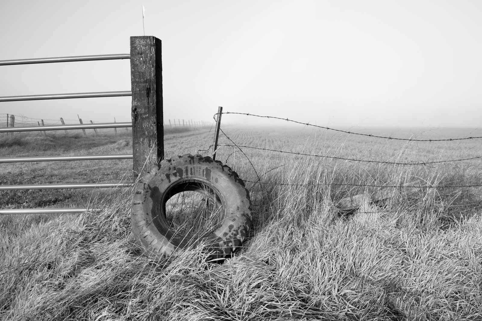 Nikon D7100 sample photo. Clay station rd. tire photography