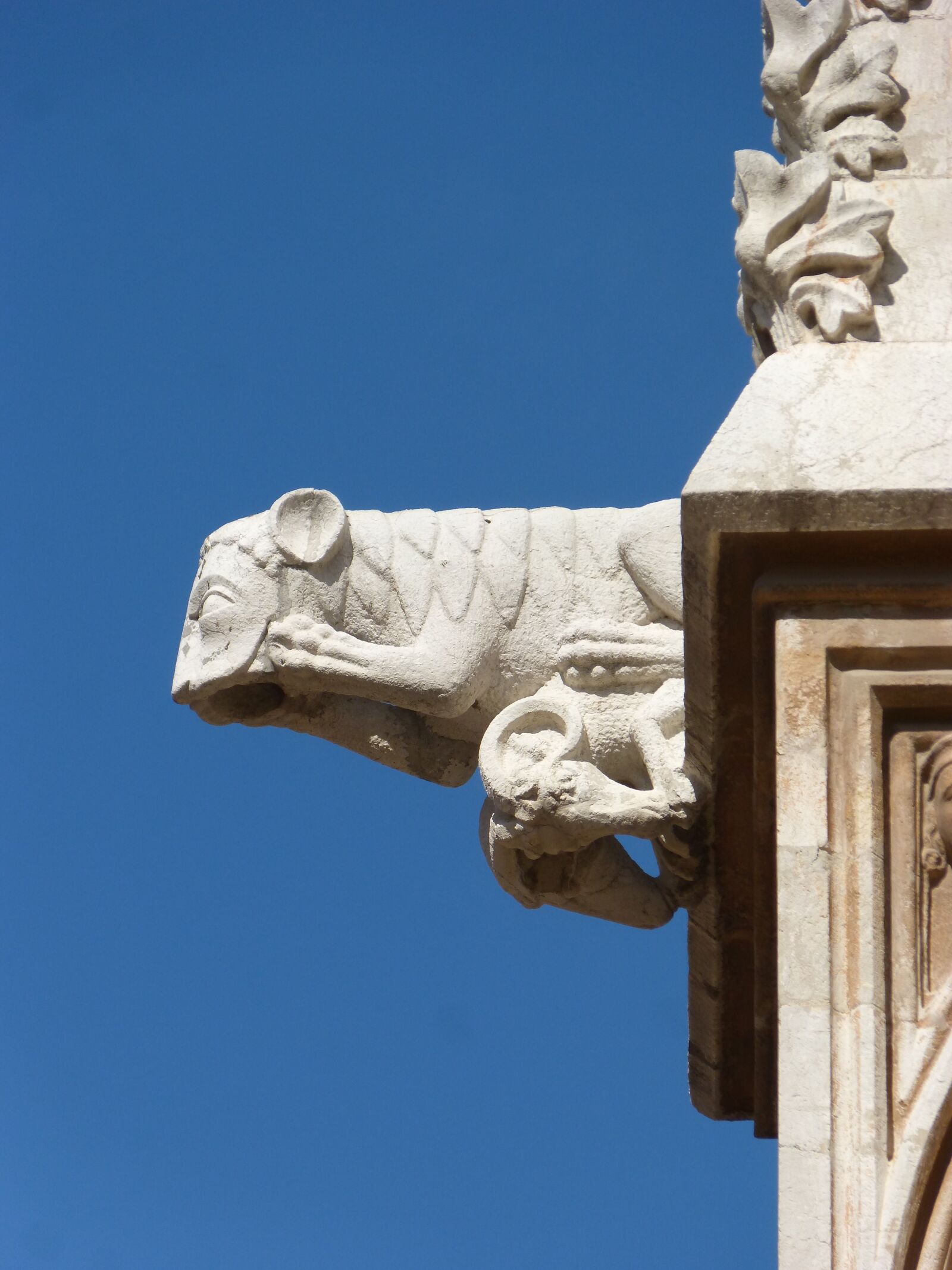 Panasonic DMC-FZ62 sample photo. Gargoyle, gothic, tarragona cathedral photography