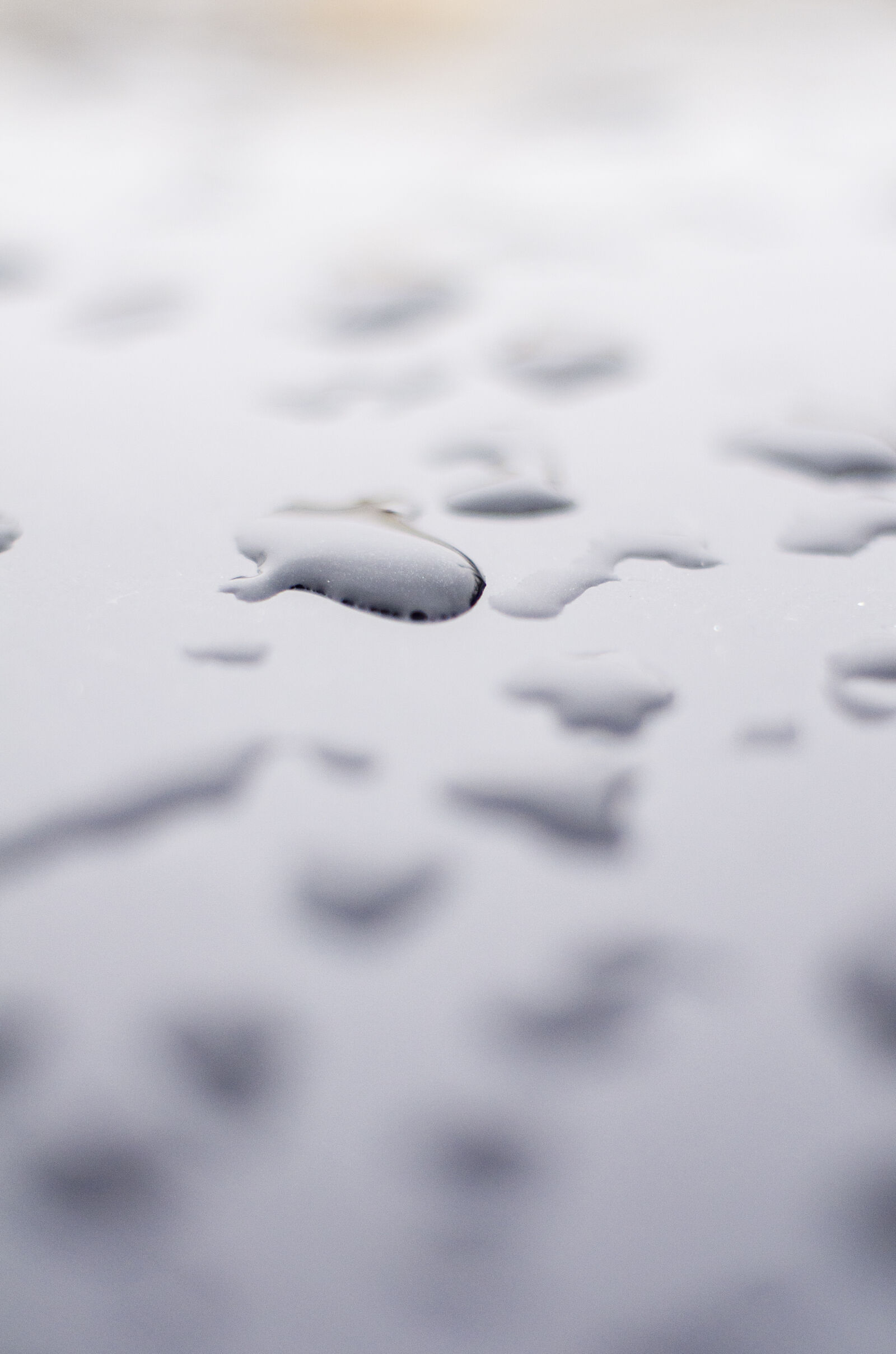 Nikon D7000 sample photo. Drop, glass photography
