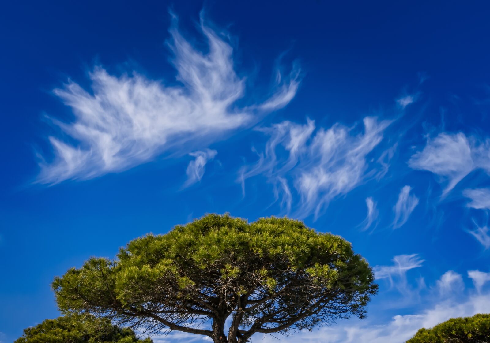 Nikon D3300 sample photo. Sky, clouds, blue photography