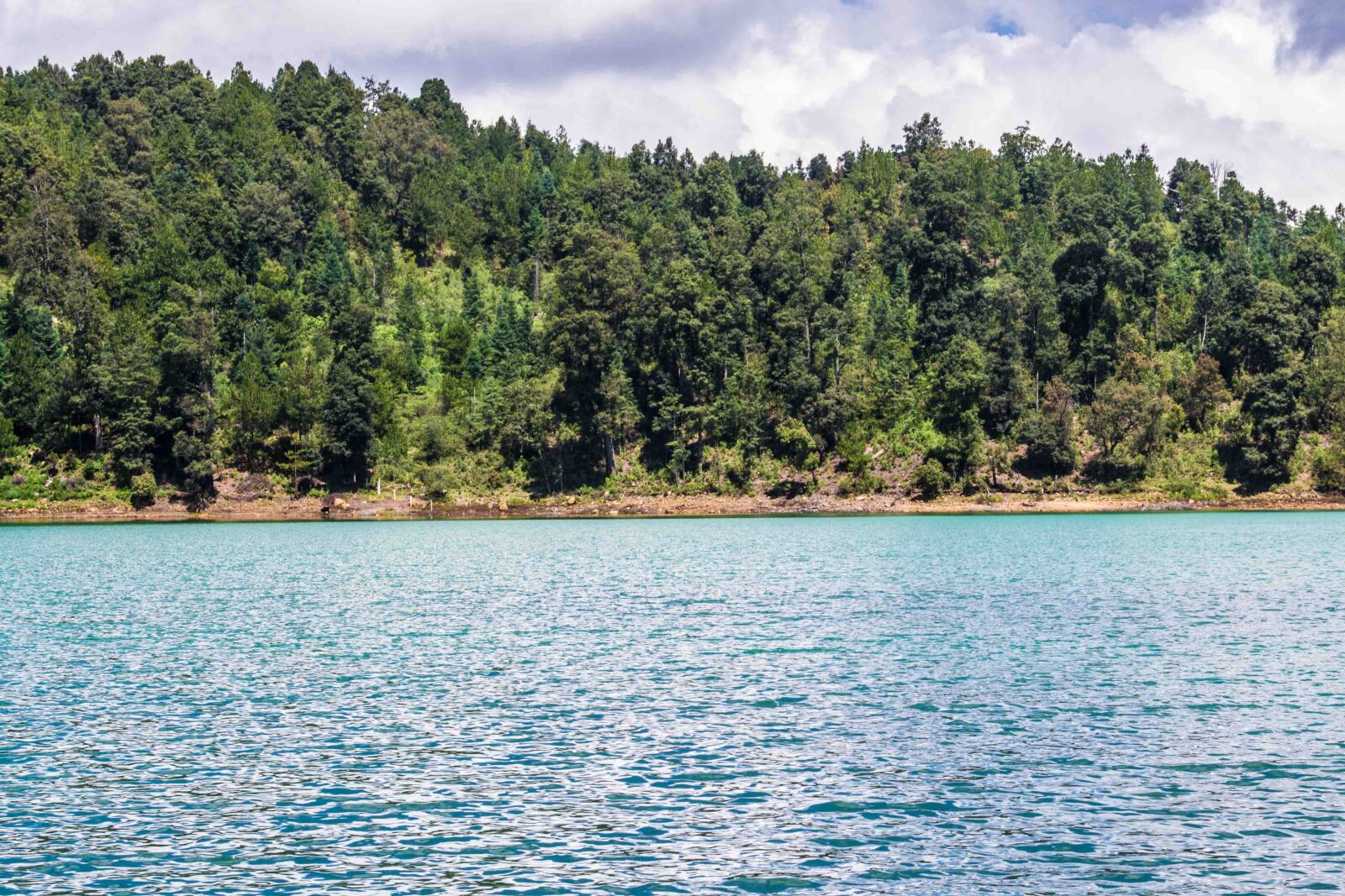 Nikon D3100 sample photo. Water, forest, blue sky photography