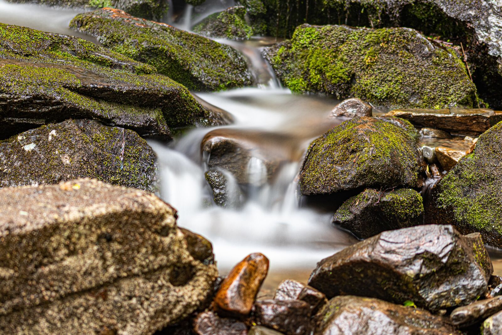 Canon EOS 80D sample photo. Bach, water, running water photography
