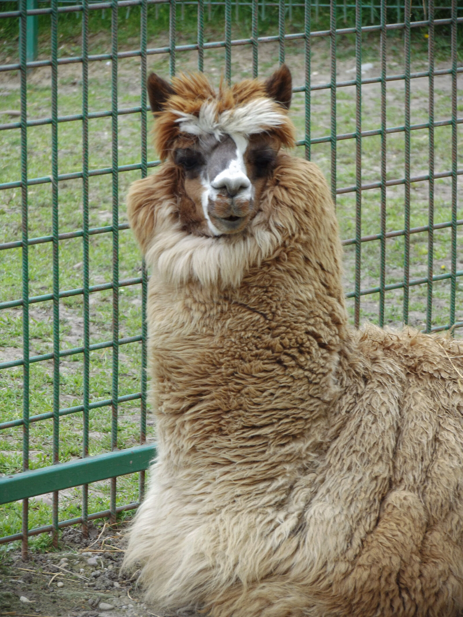 Fujifilm FinePix S8600 sample photo - 0QwQ6i9EY8 - ExploreCams