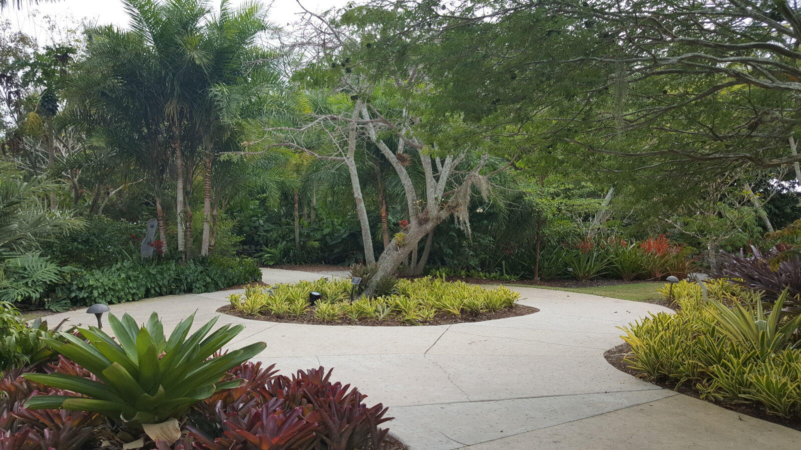 Samsung GALAXY S6 edge sample photo. Botanical, gardens, naples photography