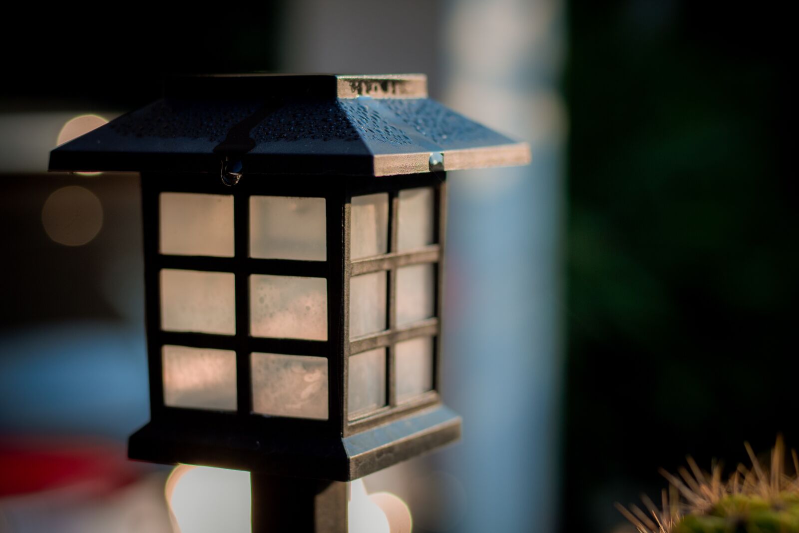 Canon EOS 700D (EOS Rebel T5i / EOS Kiss X7i) + Canon EF 50mm F1.8 STM sample photo. Lamp, light, bulbs photography