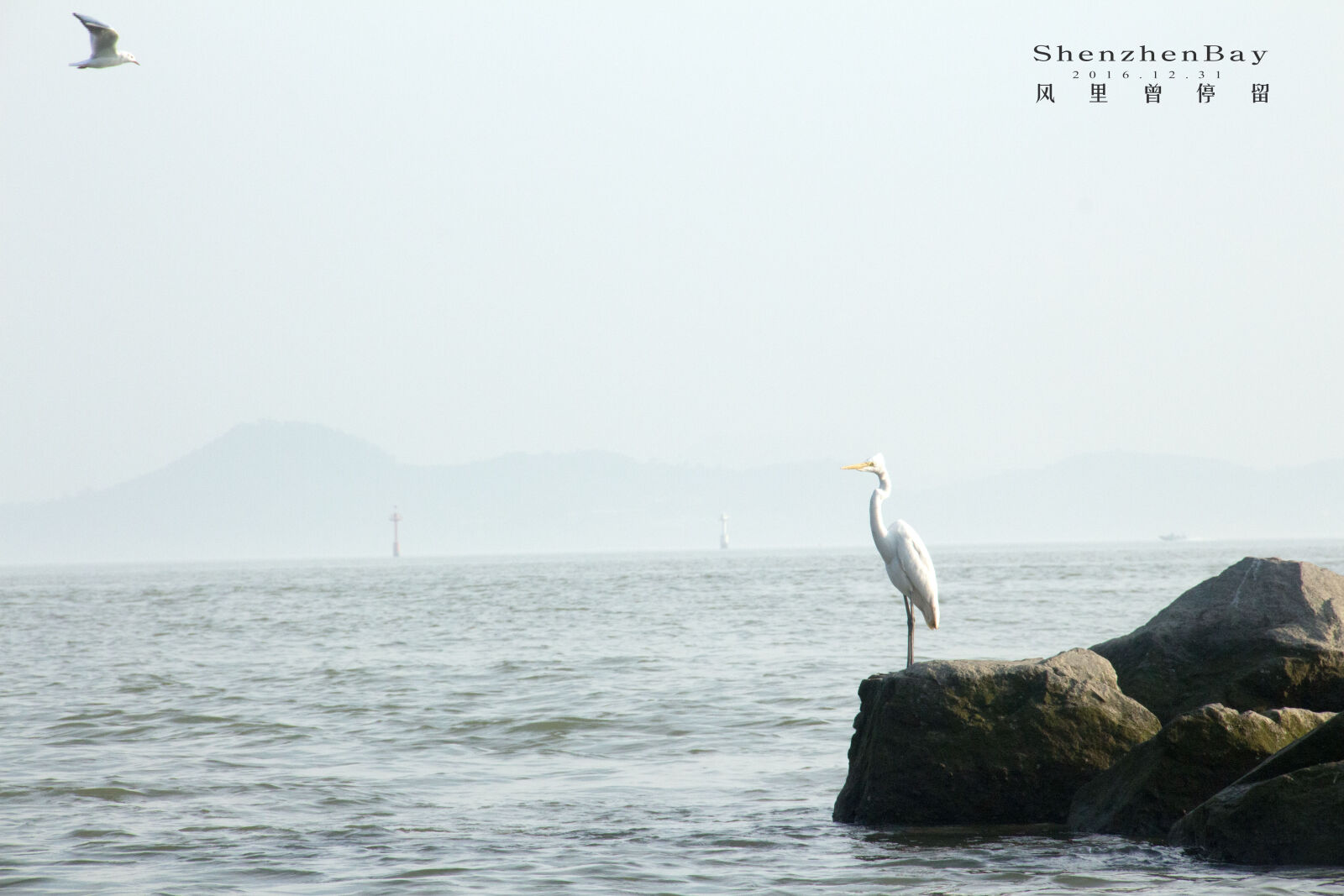 Canon EOS 700D (EOS Rebel T5i / EOS Kiss X7i) sample photo