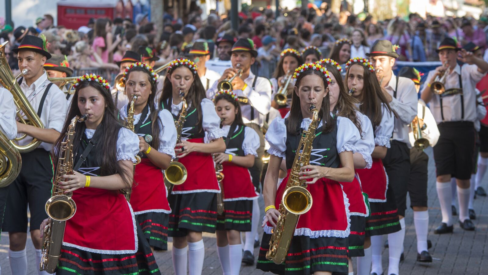 Nikon D610 sample photo. Oktoberfest, band, marching photography