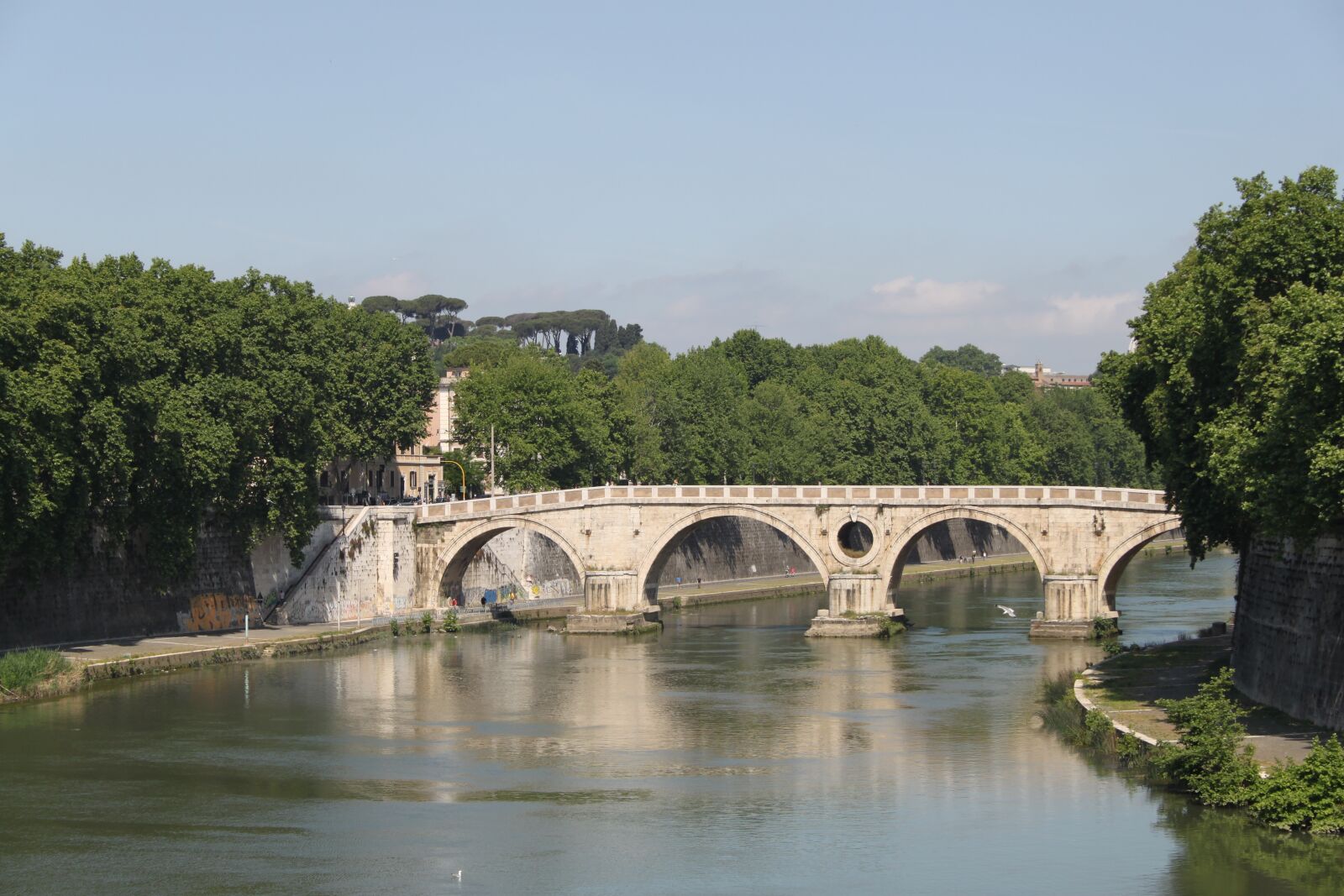 Canon EOS 500D (EOS Rebel T1i / EOS Kiss X3) sample photo. Bridge, river, body of photography