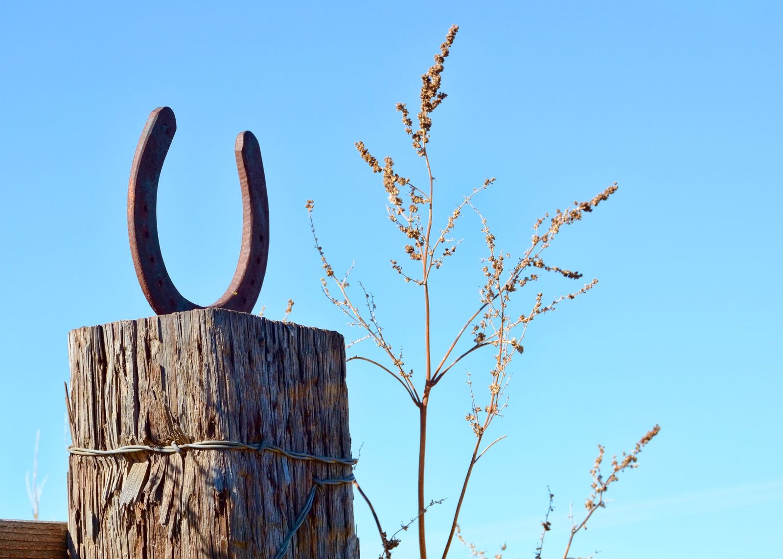 Nikon D7100 sample photo. Horseshoe, fence post, post photography